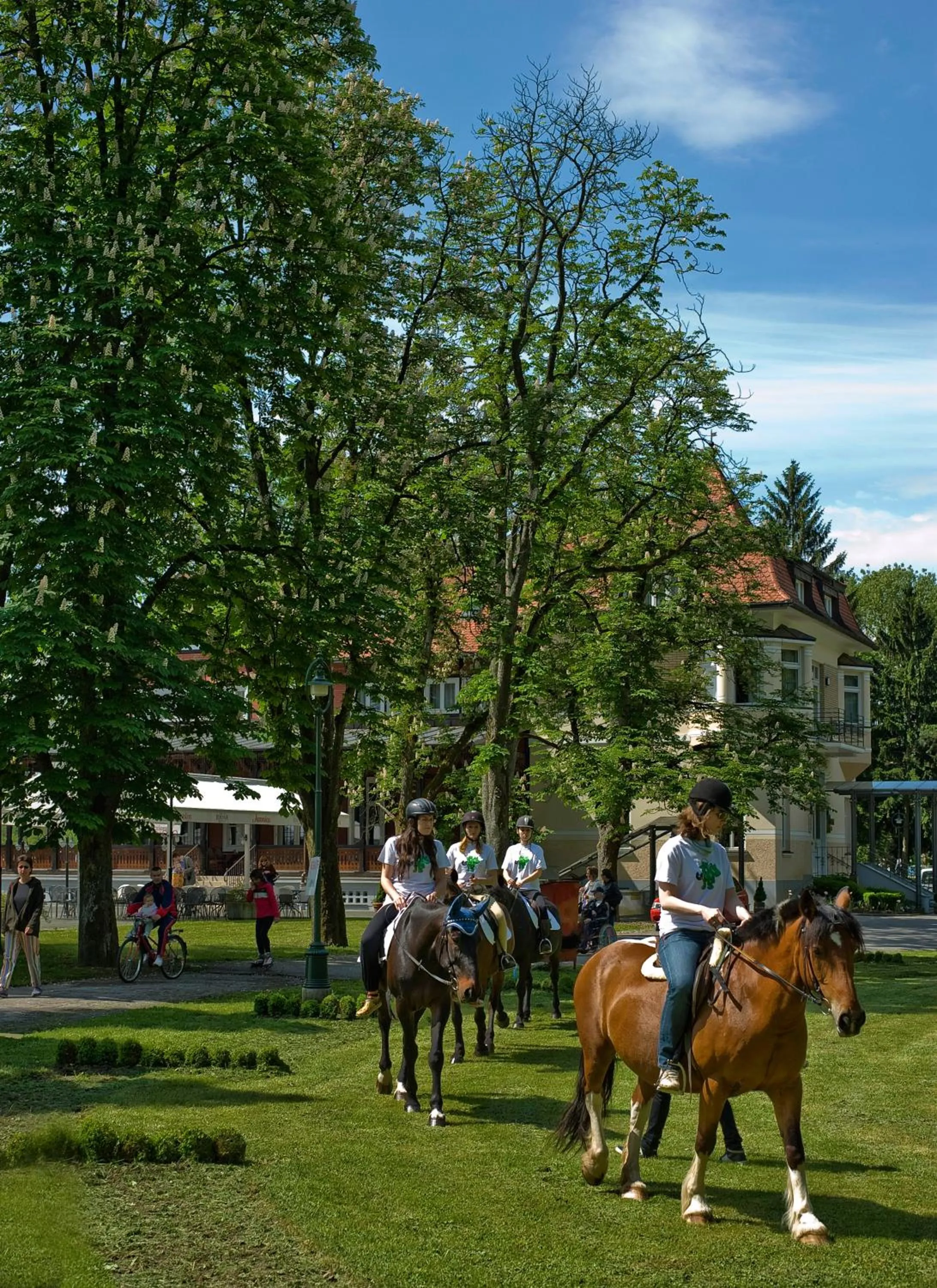 Garden in Boutique Hotel Korana Srakovcic