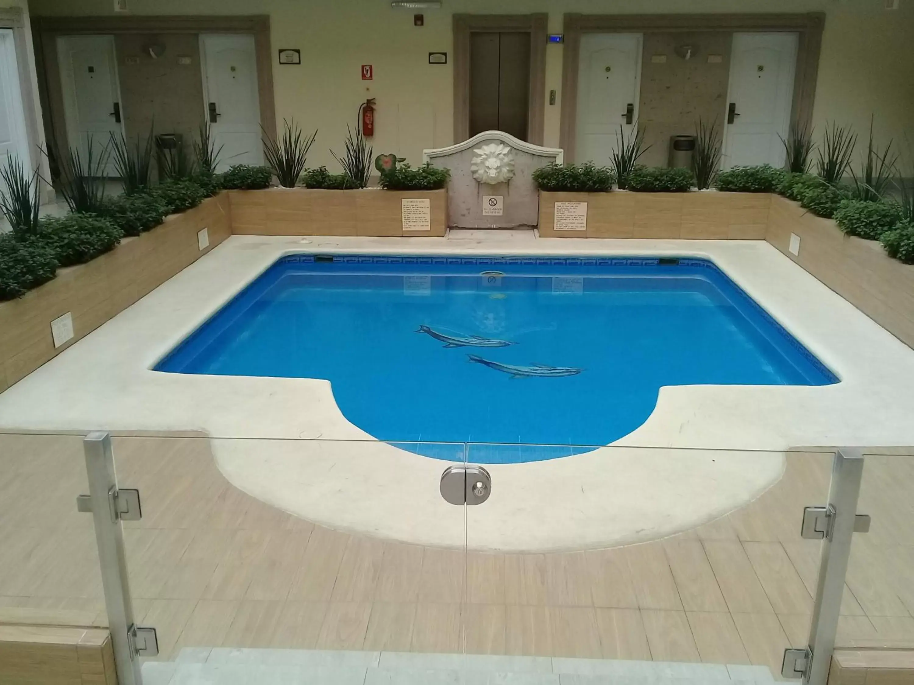 Day, Swimming Pool in Best Western PLUS Monterrey Colón