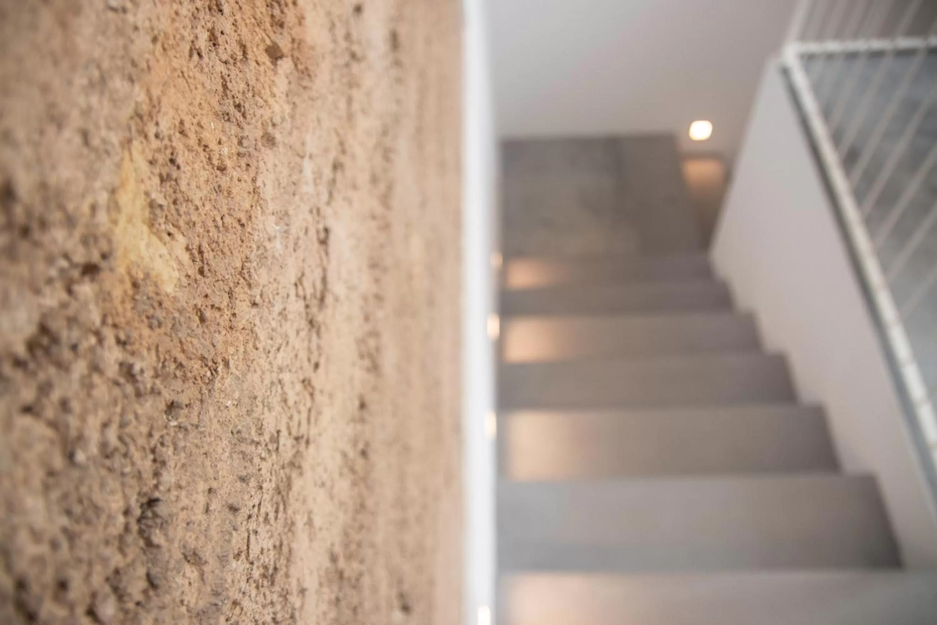 Area and facilities in Hotel Boutique Can Pocovi