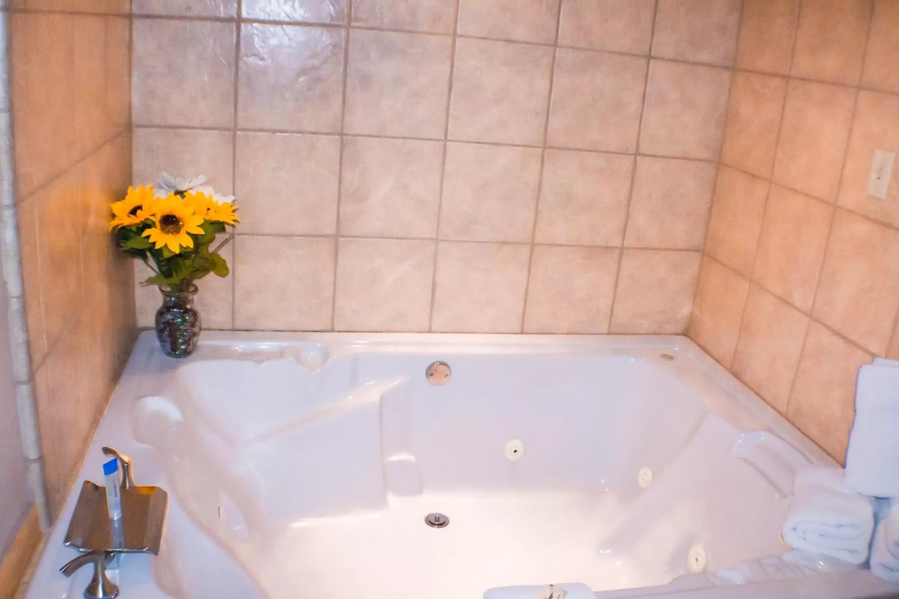 Hot Tub, Bathroom in Victorian Inn & Suites-York