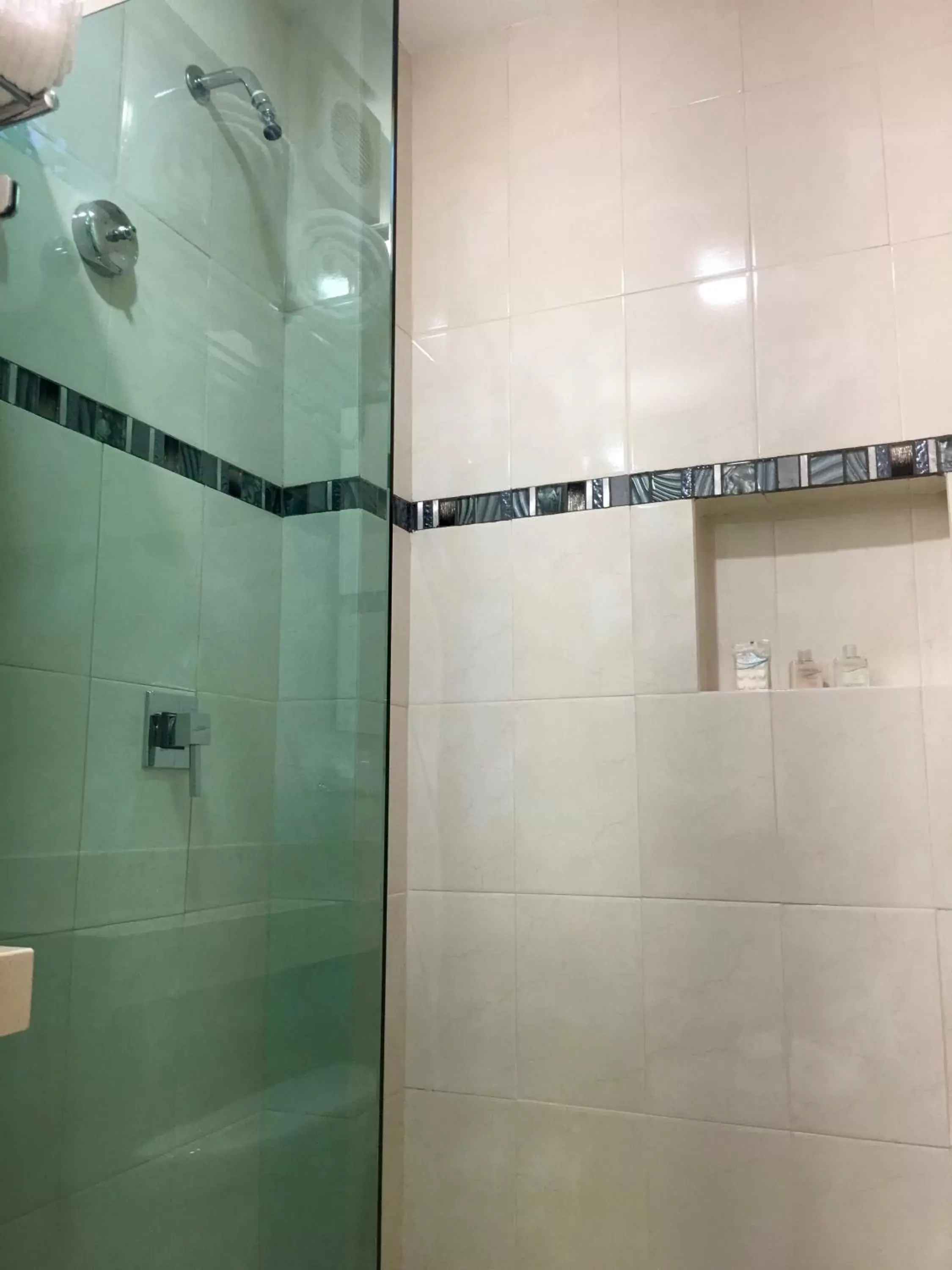 Shower, Bathroom in Herbal Inn Suites