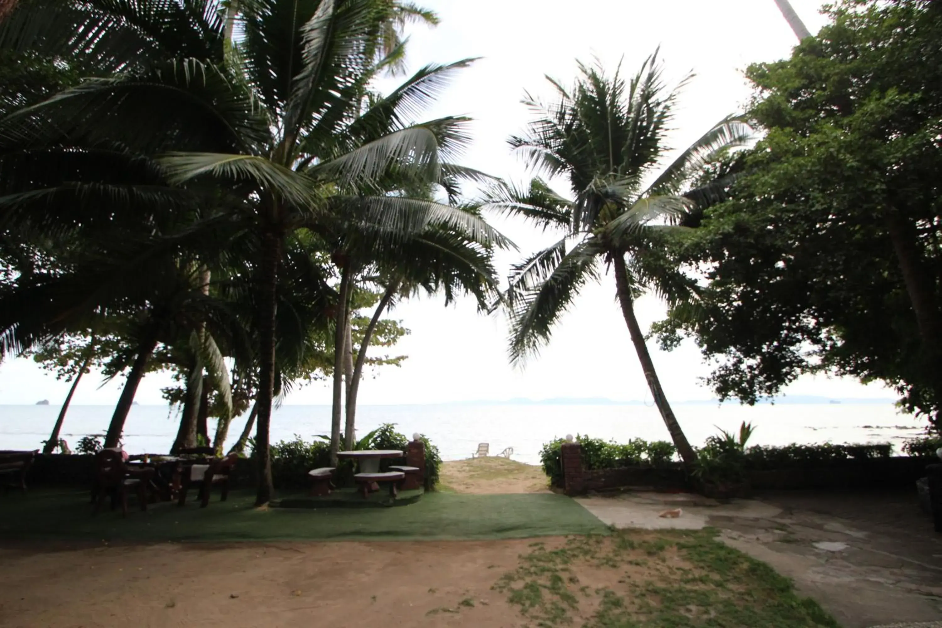 Restaurant/places to eat, Beach in Pine Bungalow Krabi