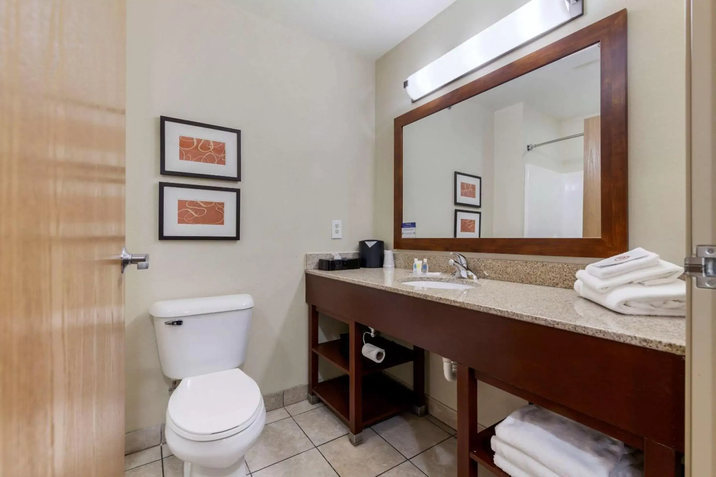Bathroom in Comfort Suites Johnson Creek Conference