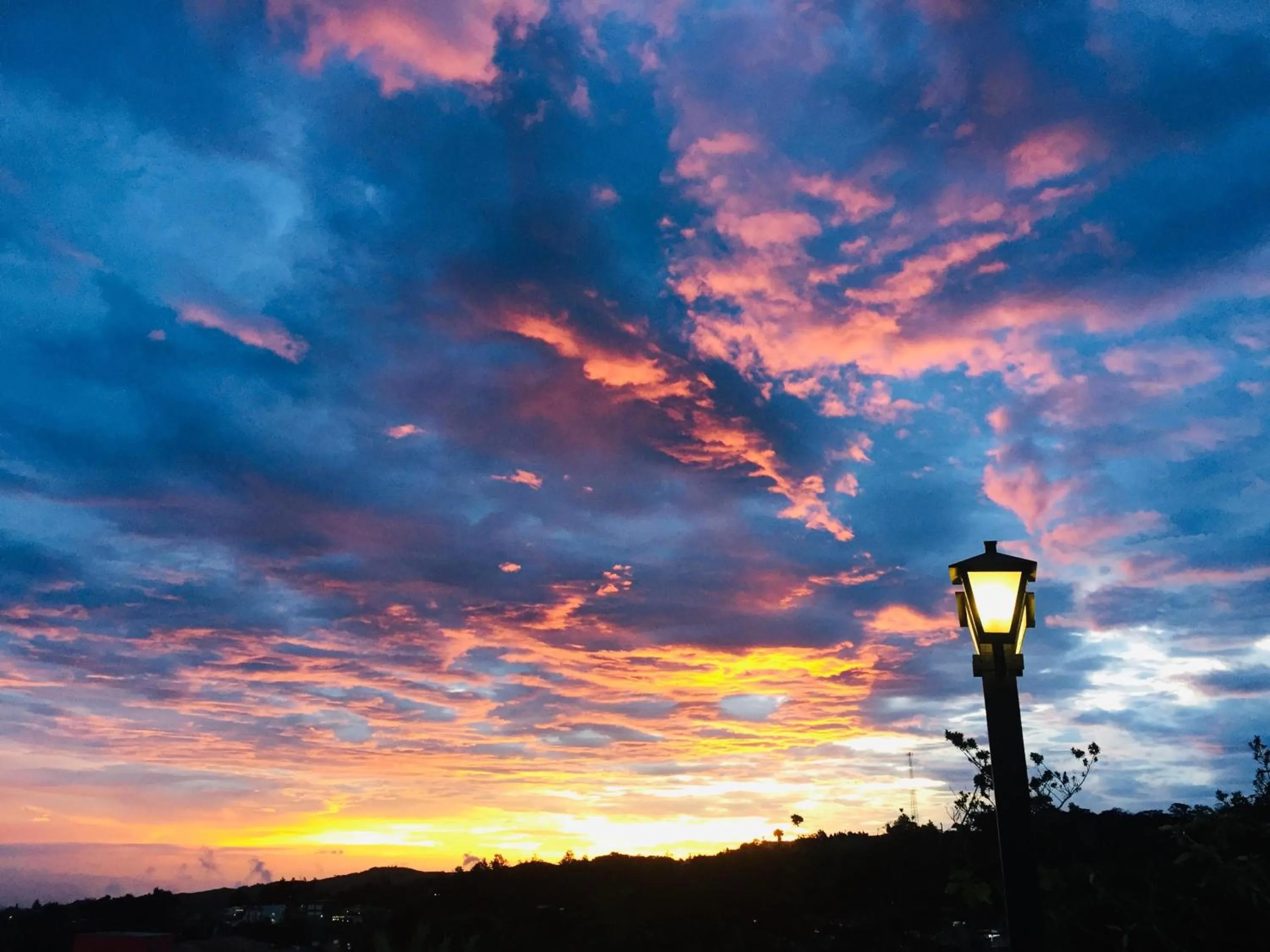 Natural landscape in Ficus Sunset Suites