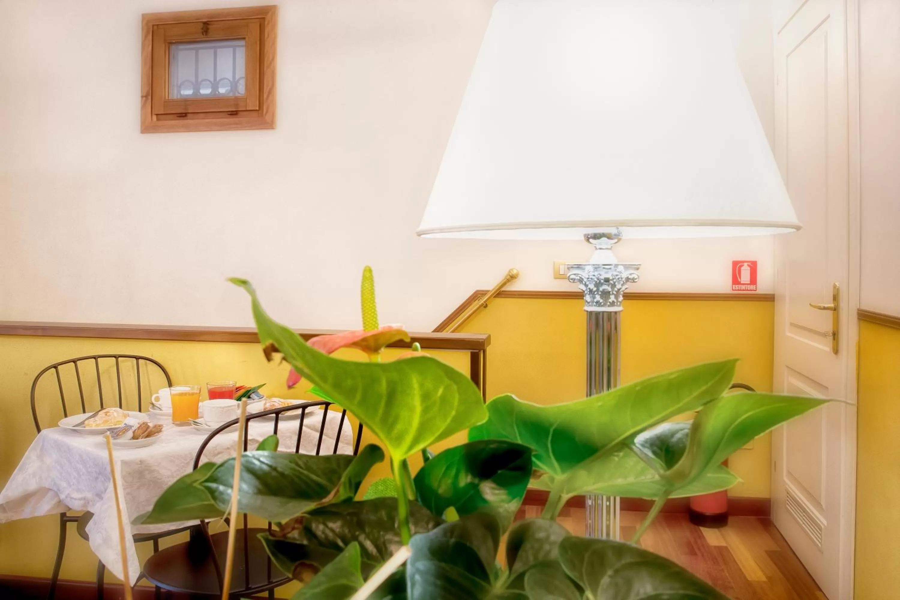 Activities in Residenza Goldoni