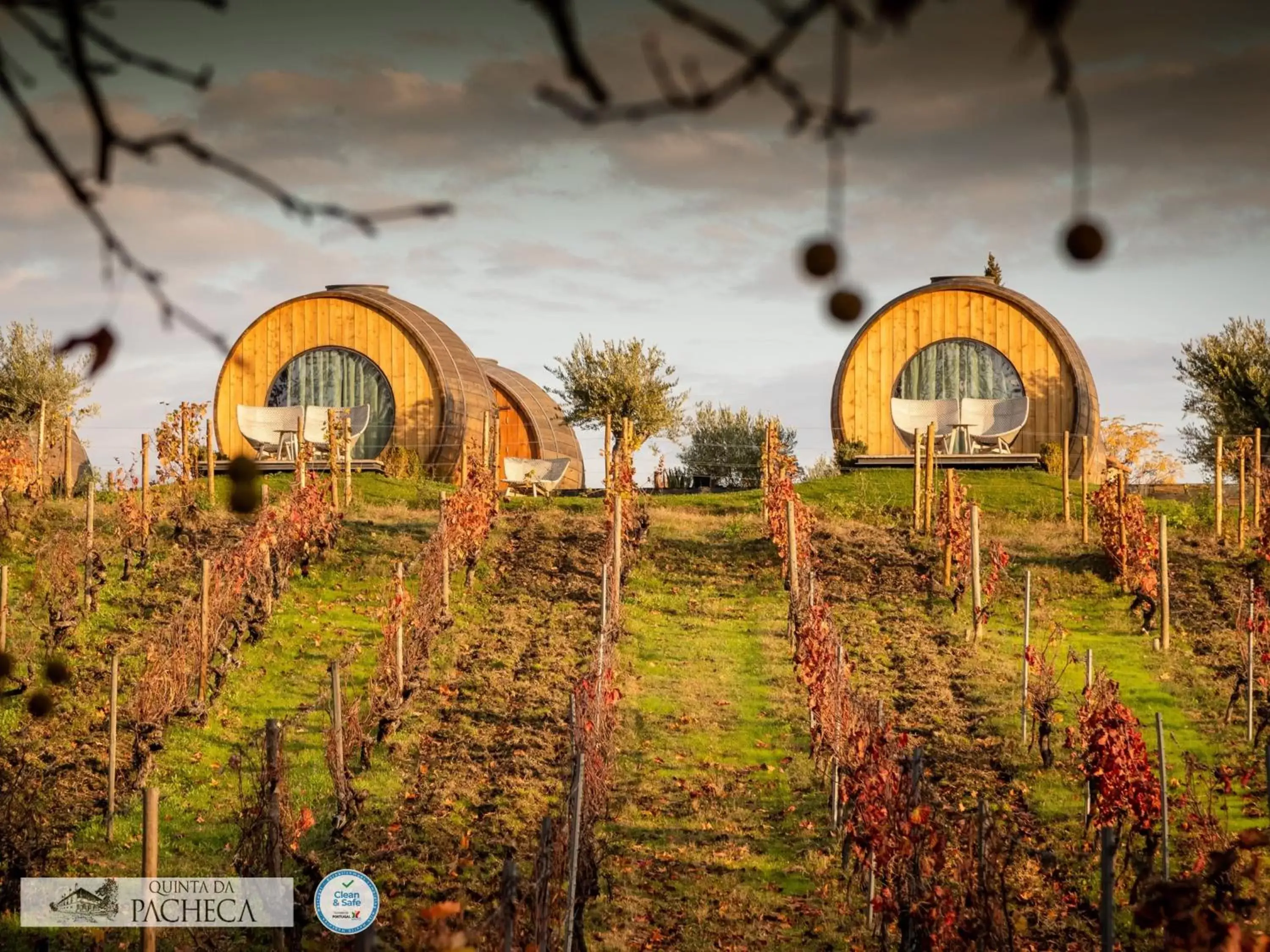 Natural landscape in The Wine House Hotel - Quinta da Pacheca