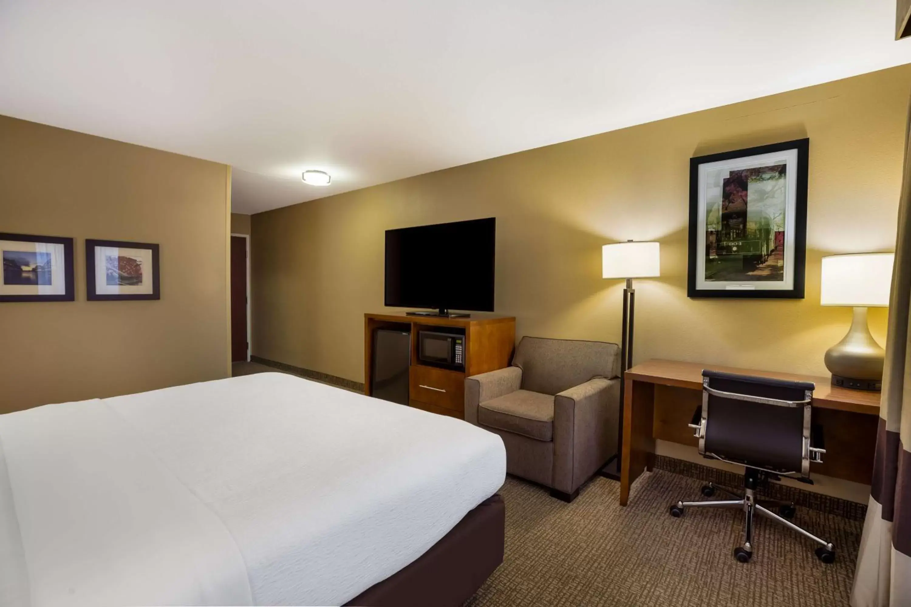Bedroom, TV/Entertainment Center in Best Western Morgan City Inn