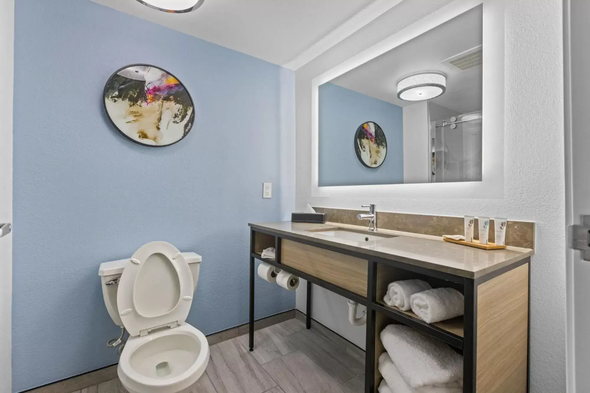 Bathroom in Country Inn & Suites by Radisson, Savannah Airport, GA