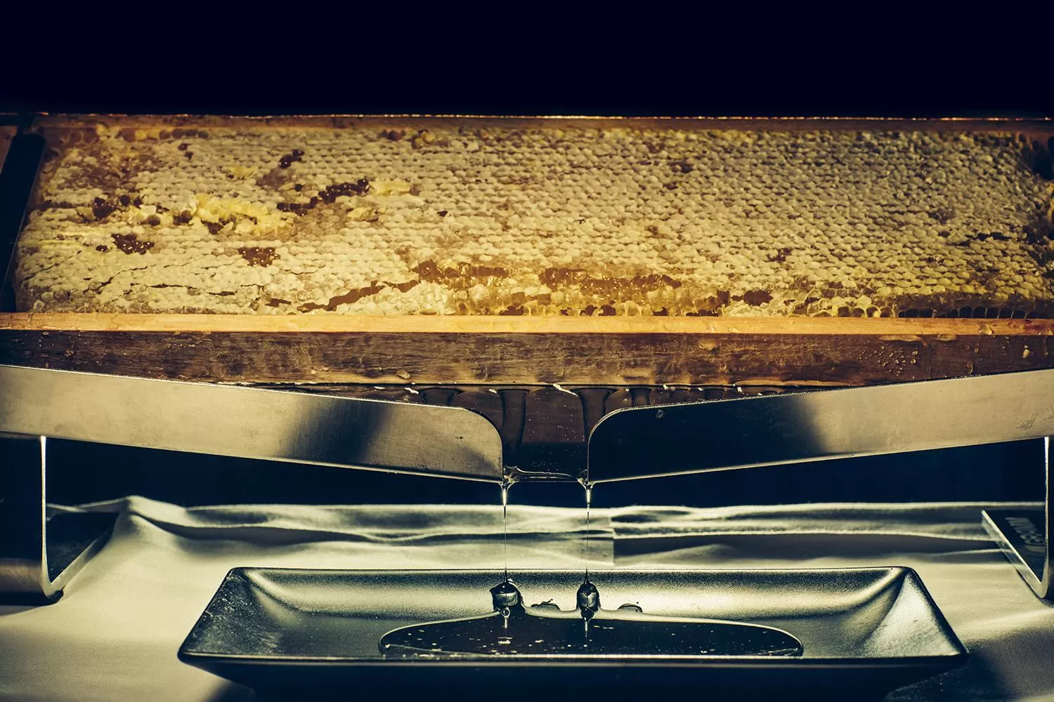 Buffet breakfast in Best Western Cinemusic Hotel