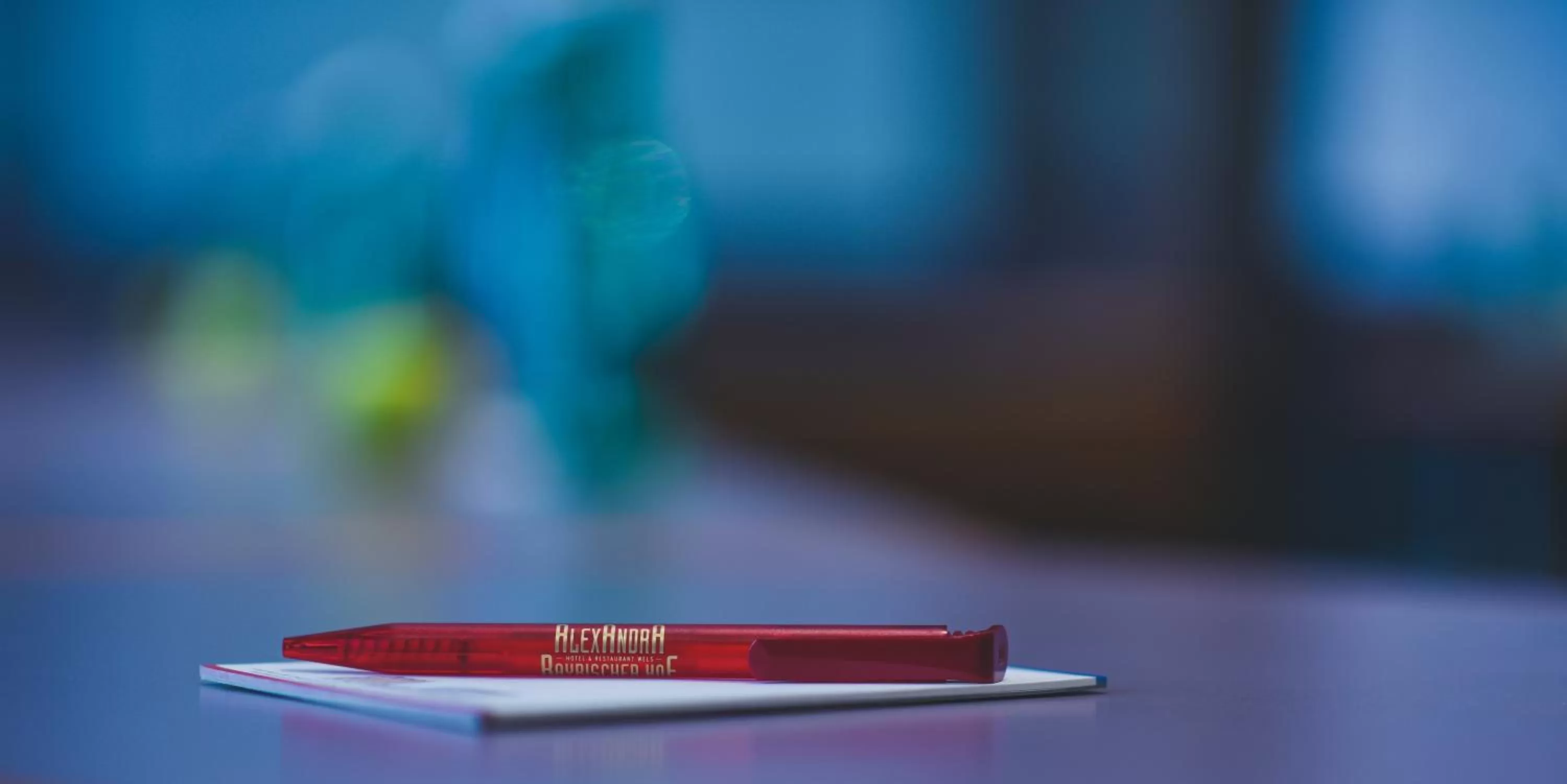 Meeting/conference room in Hotel Alexandra