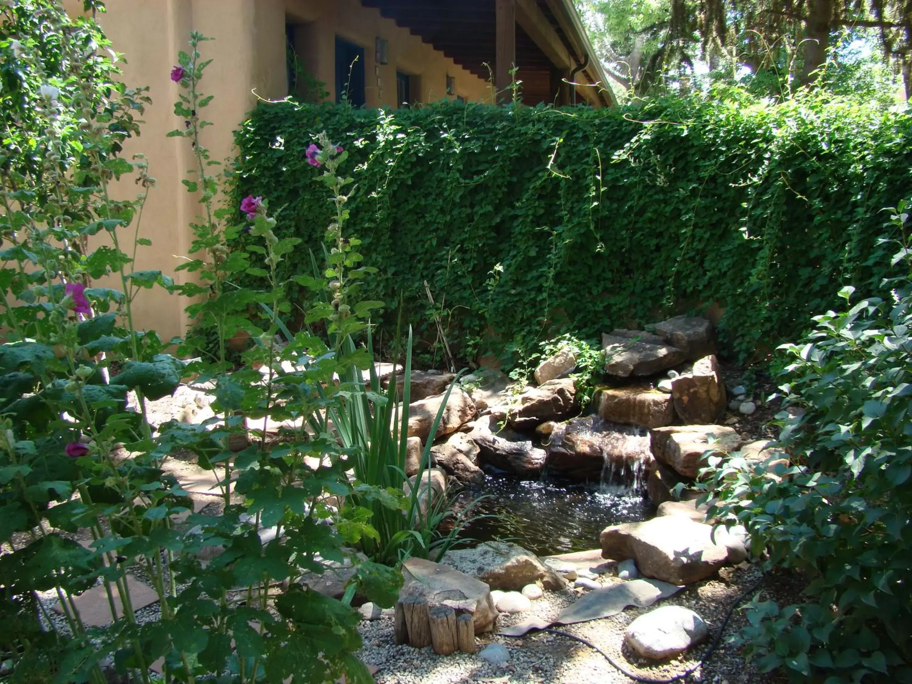 Other in The Historic Taos Inn