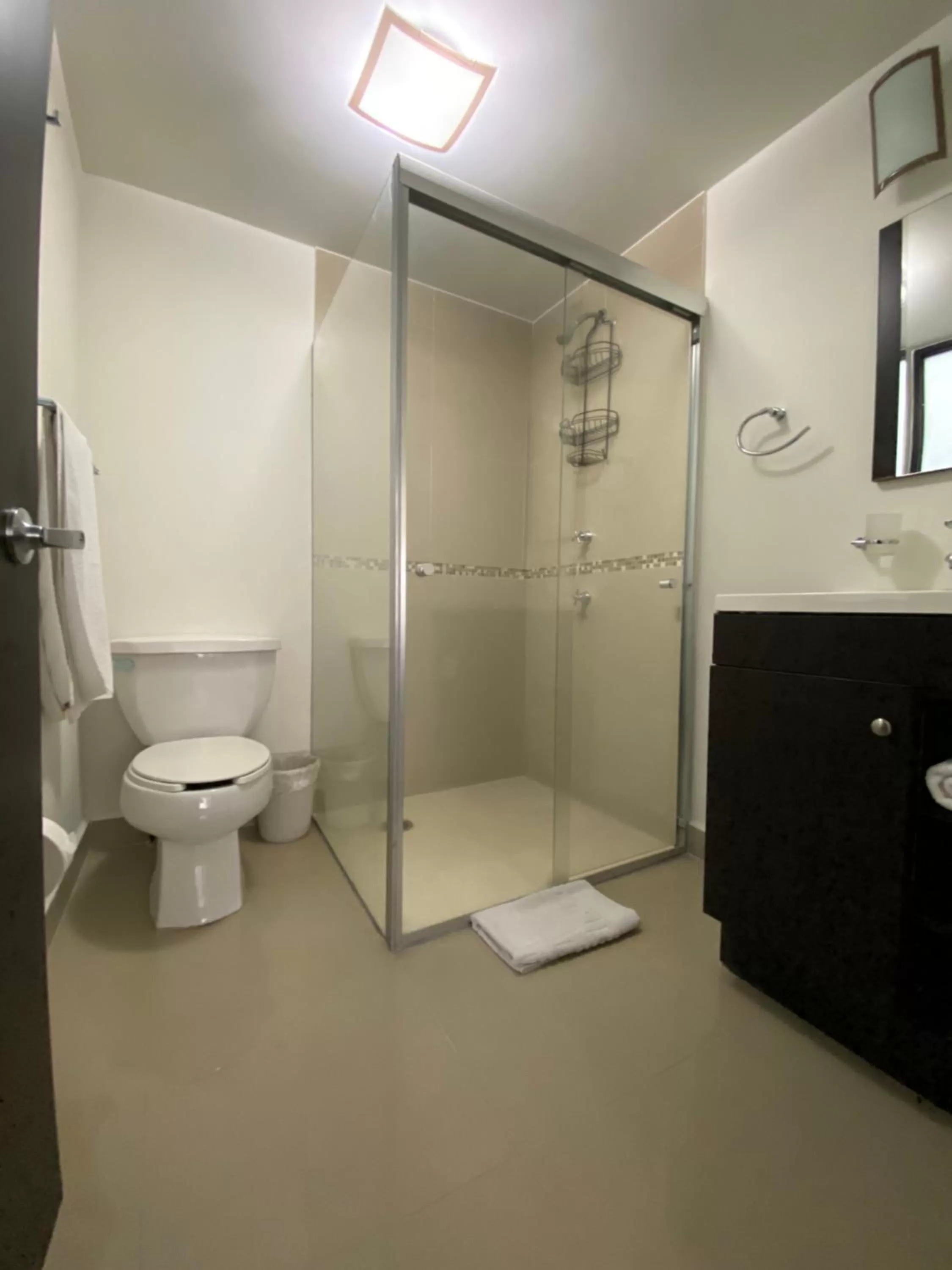 Bathroom in Grupo Kings Suites -Platon 436