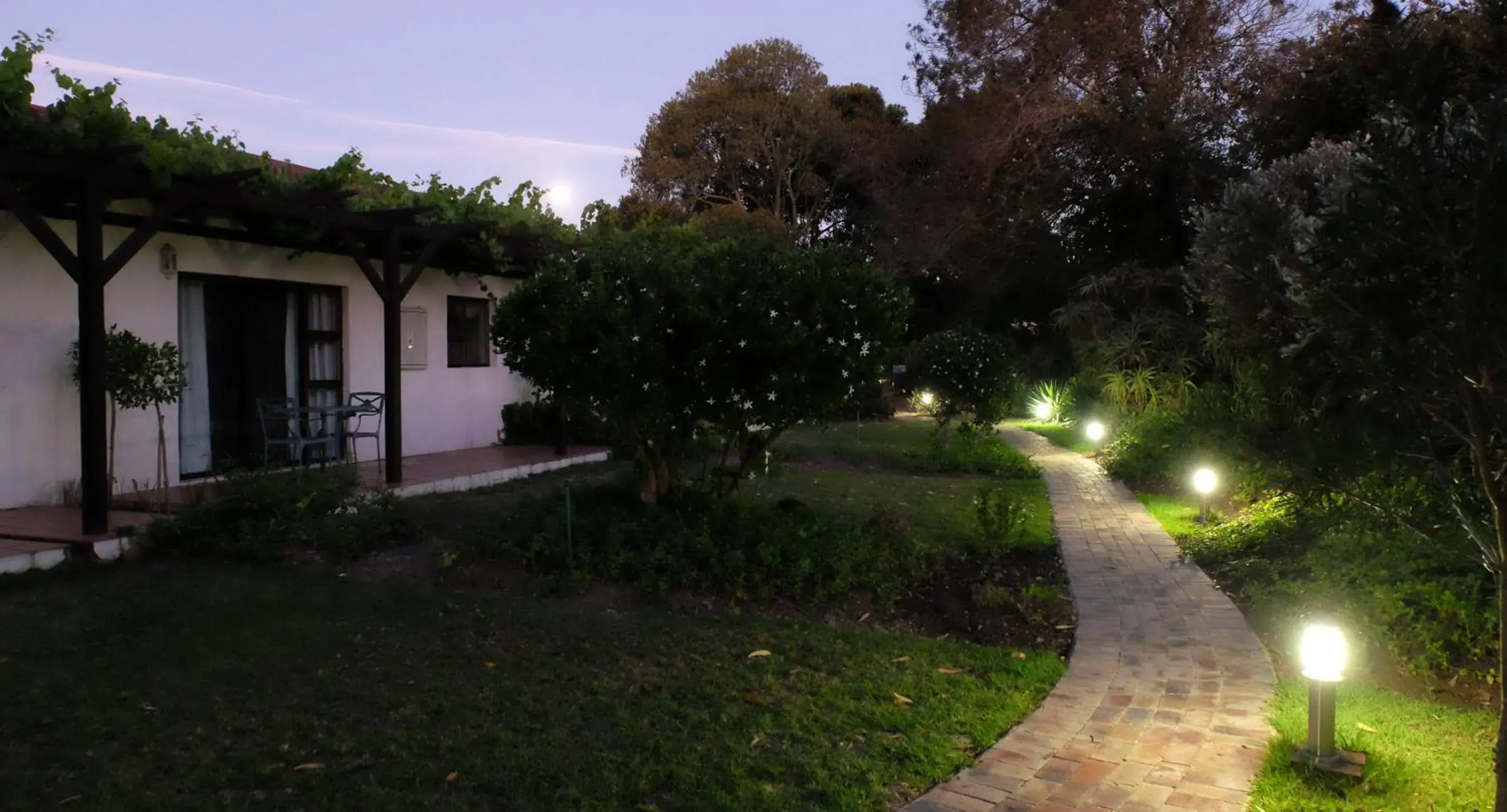 Patio, Garden in Vine Guesthouse