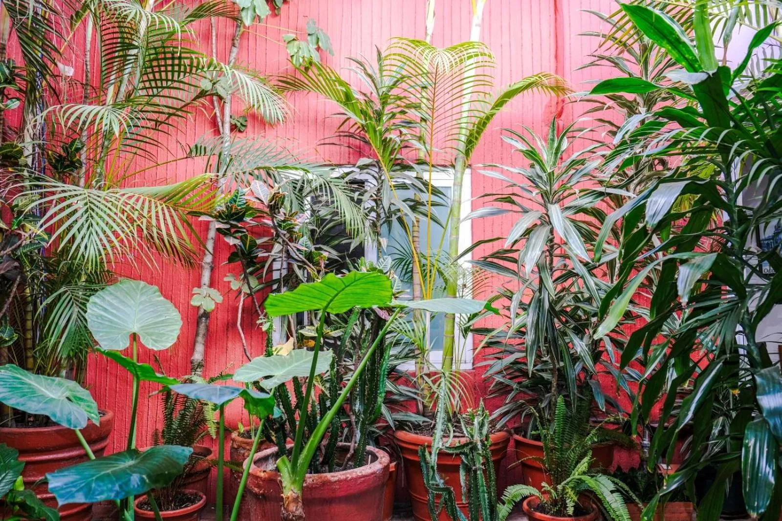 Natural landscape in Hotel Posada el Cid