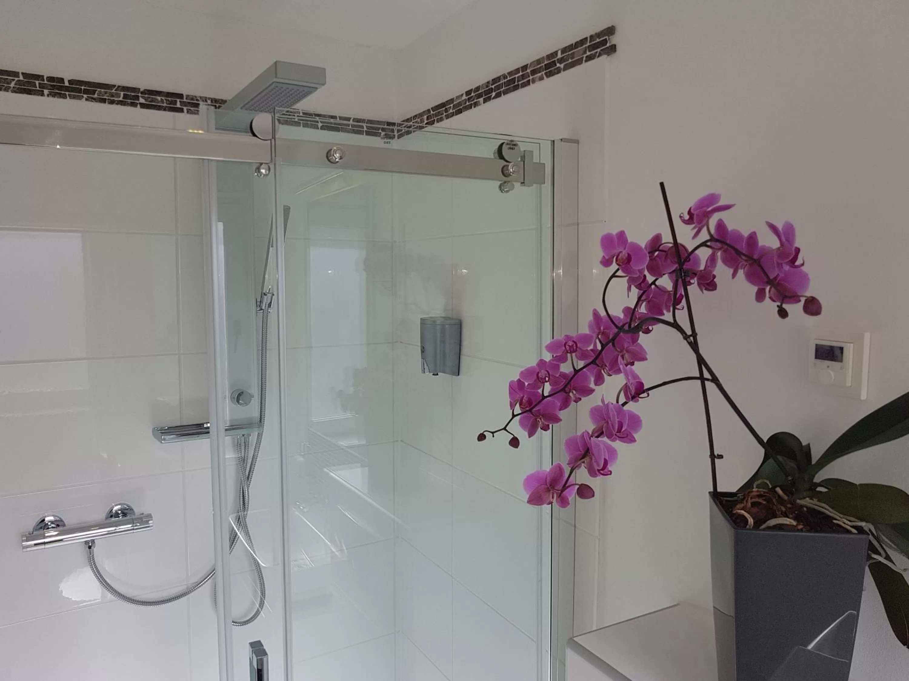 Bathroom in Hotel Exquisite