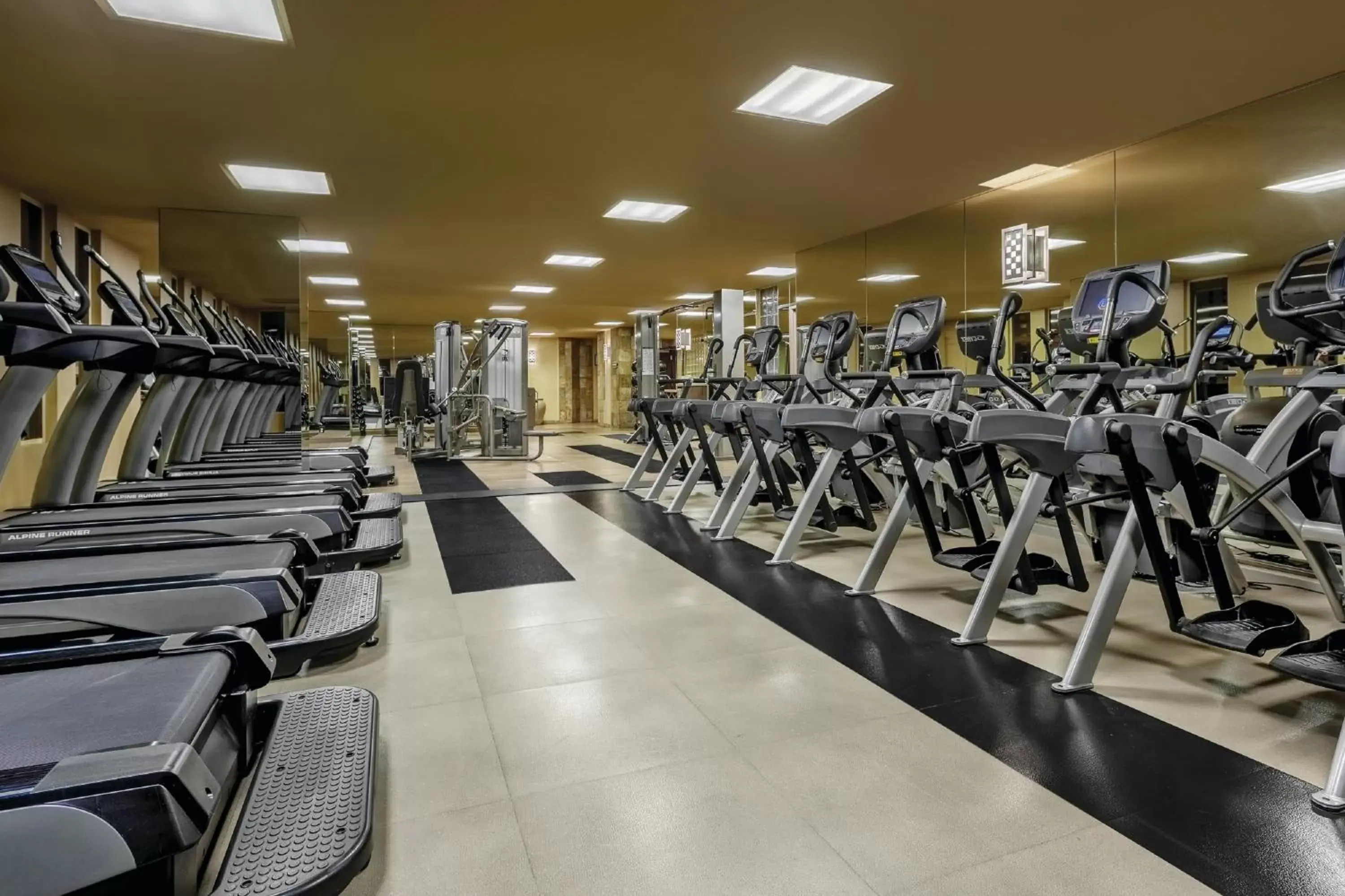 Fitness centre/facilities, Fitness Center/Facilities in New York New York
