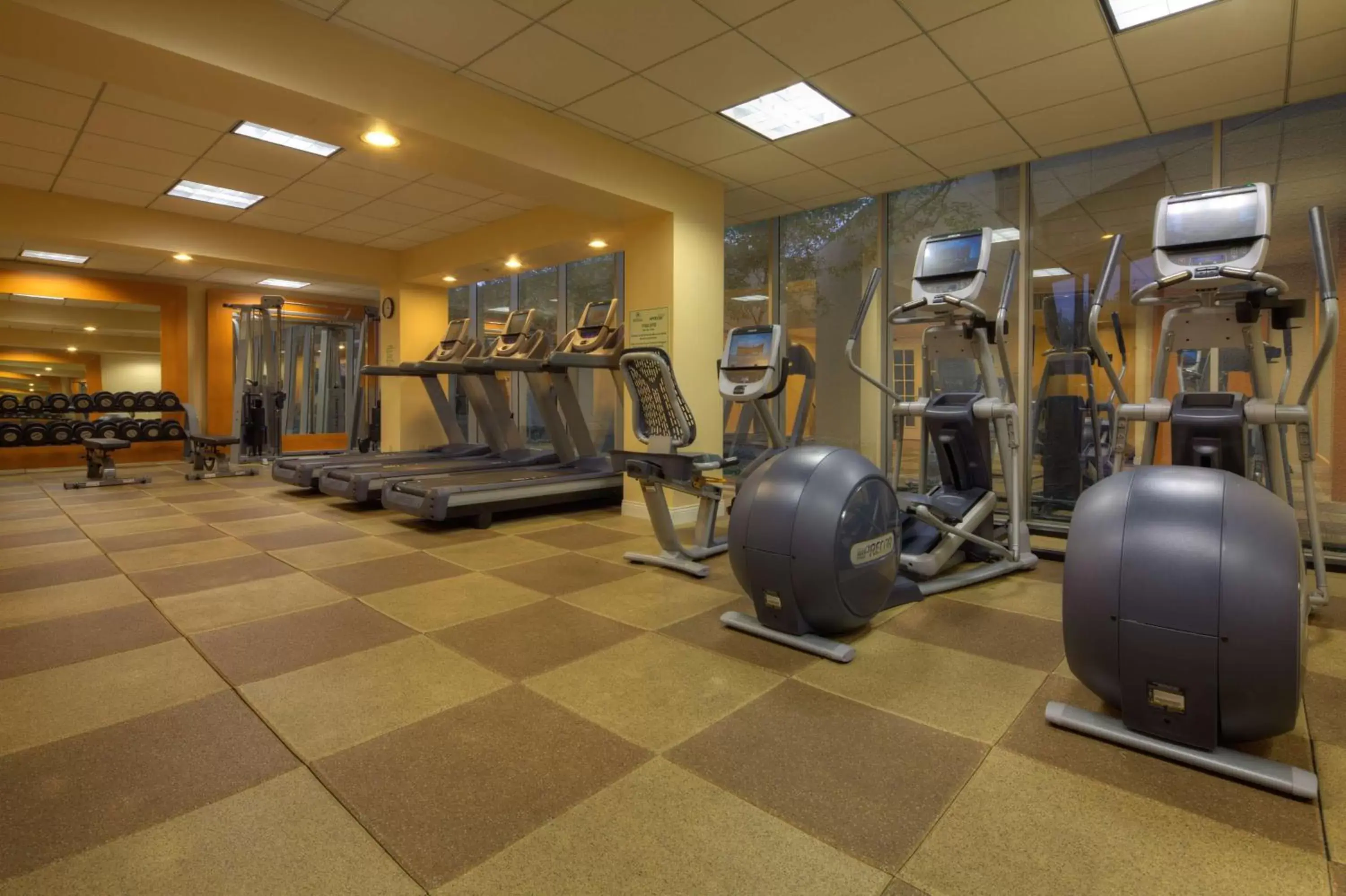 Fitness centre/facilities, Fitness Center/Facilities in Hilton Houston Westchase