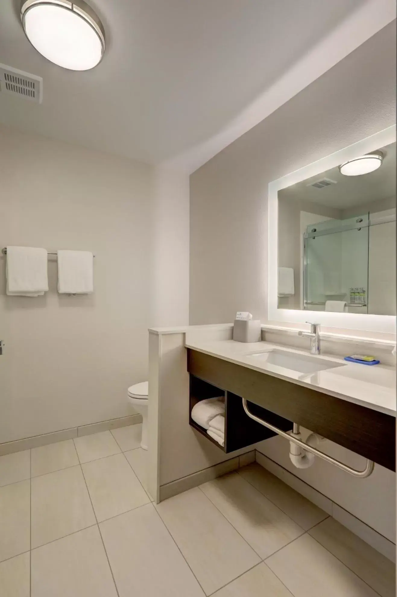 Bathroom in Holiday Inn Express & Suites - Auburn Downtown, an IHG Hotel