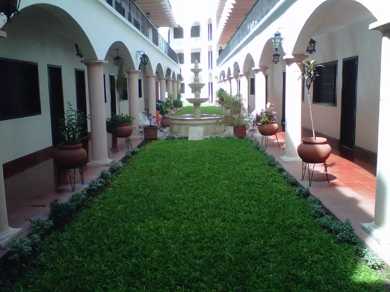 Garden in Hotel Zaci