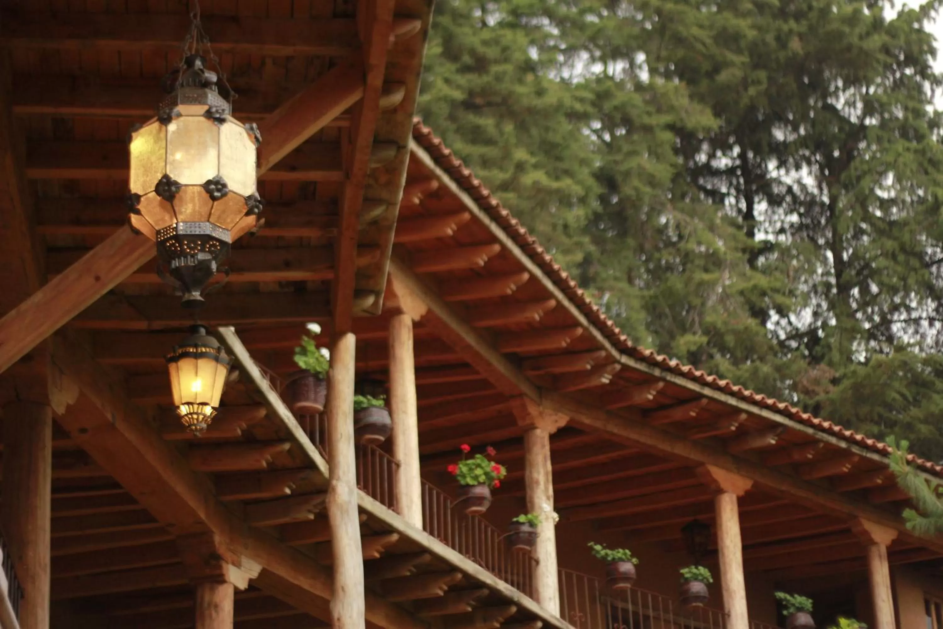Balcony/Terrace in Eco Hotel Ixhi