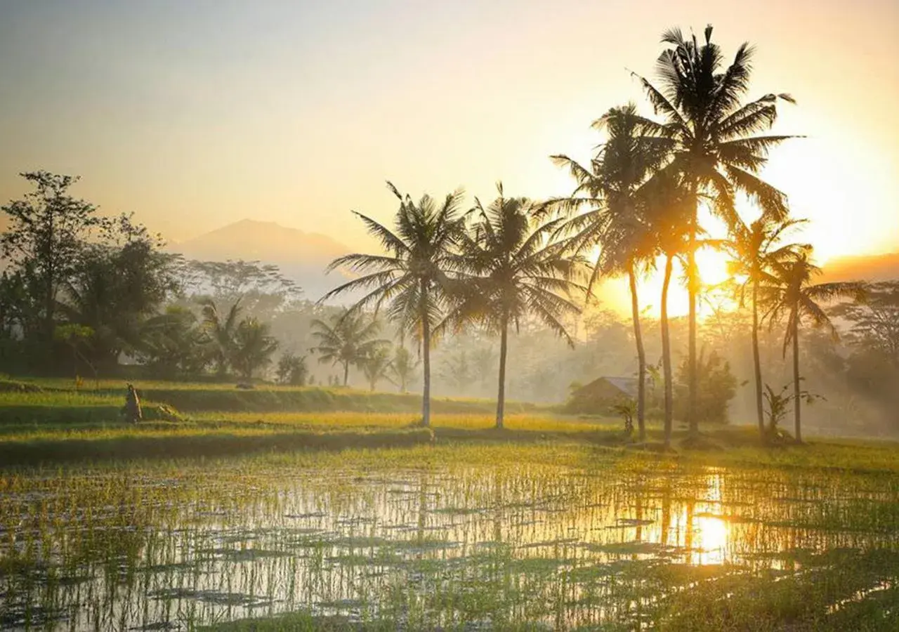 Natural landscape, Sunrise/Sunset in Puri Darma Agung Villa