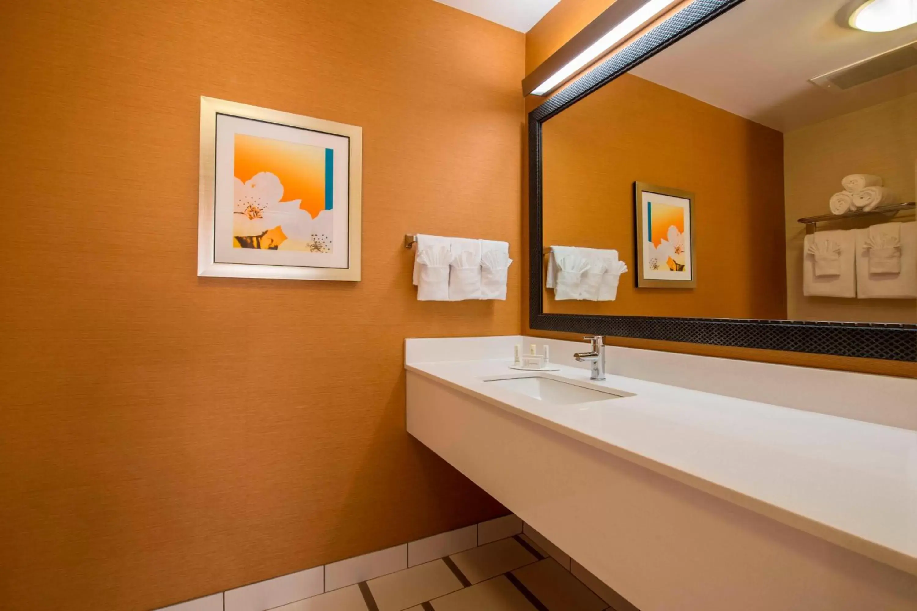 Bathroom in Fairfield Inn & Suites by Marriott Greenwood