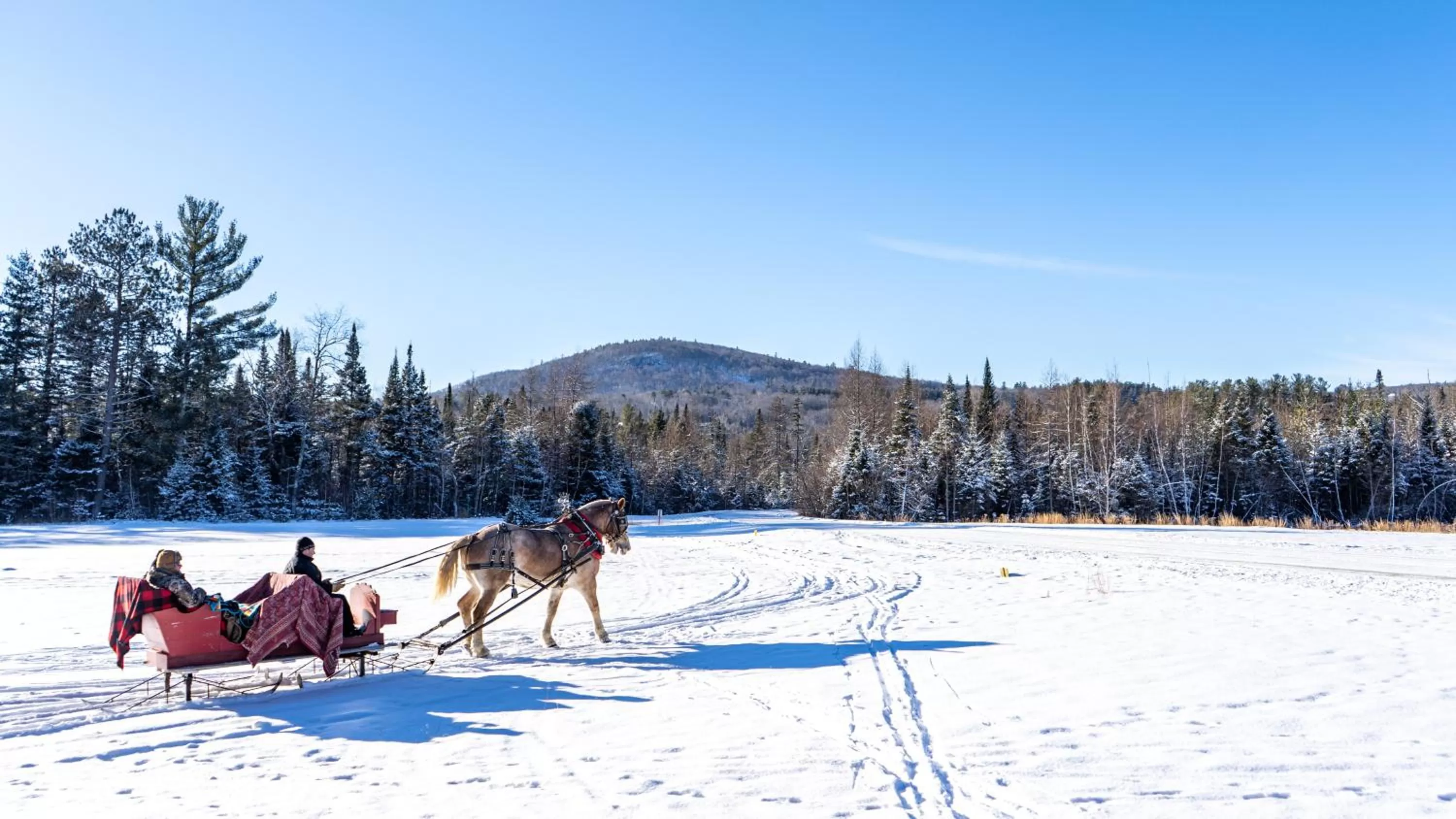 Activities in Franconia Inn