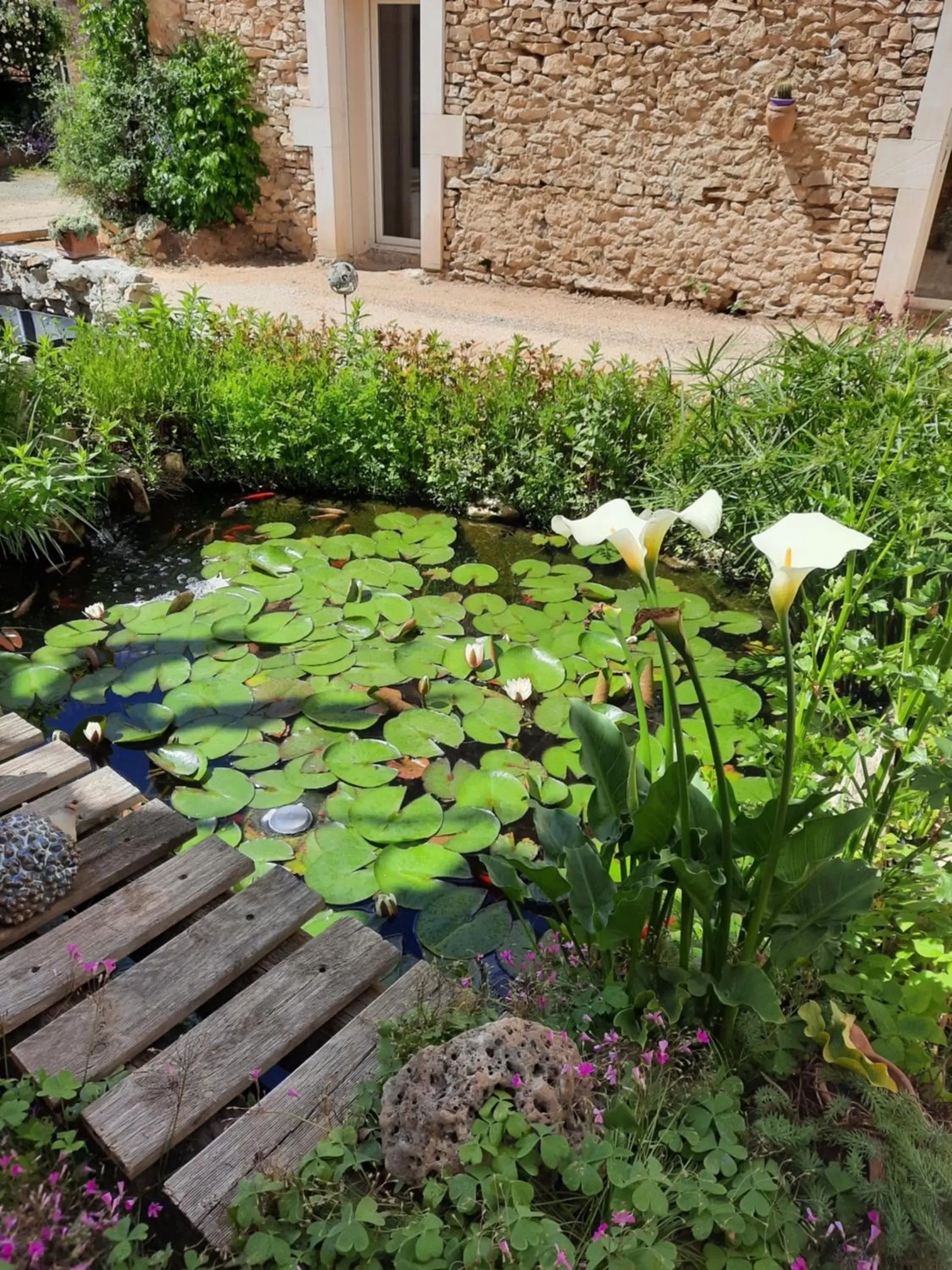 Garden in Le Cocon