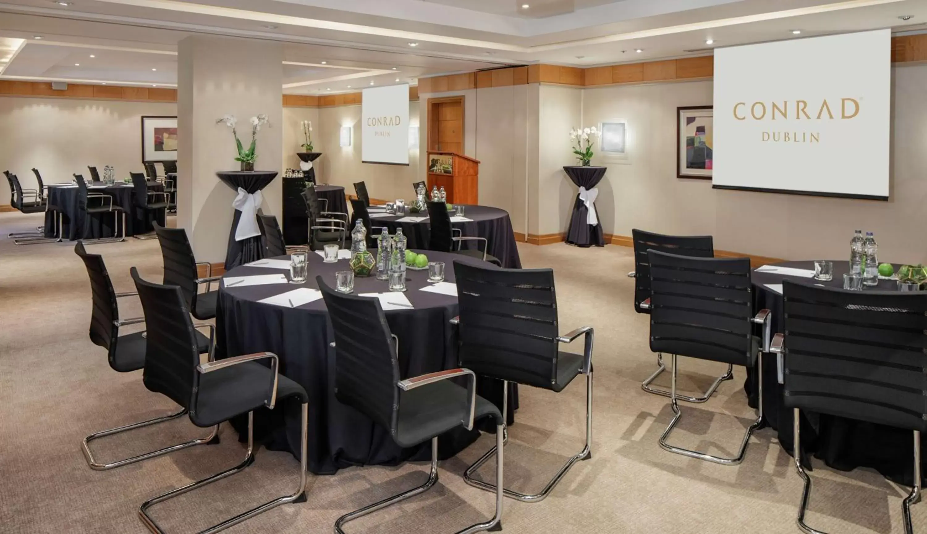 Meeting/conference room in Conrad Dublin