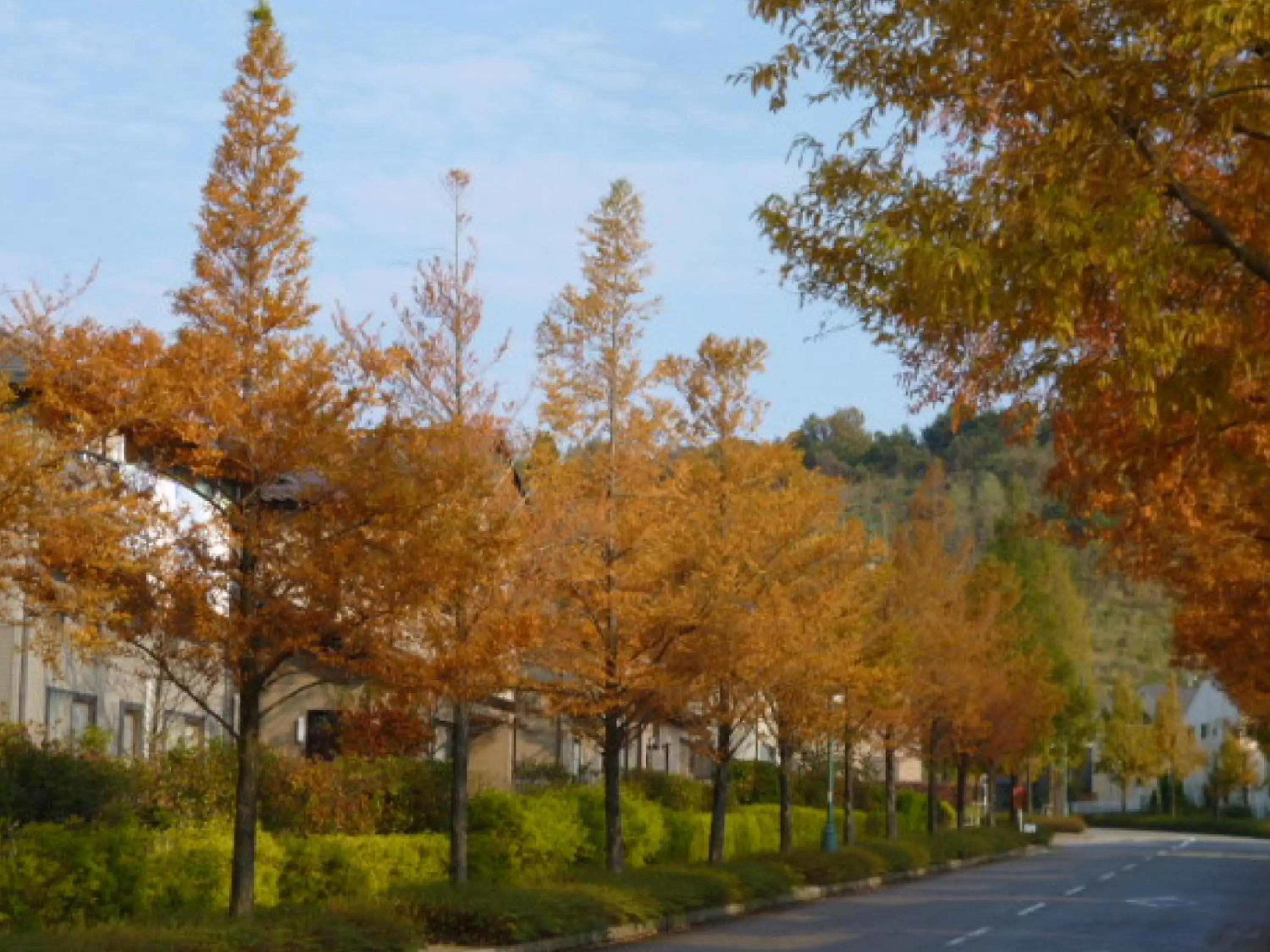 Nearby landmark in Hotel Wing International Premium Kanazawa Ekimae