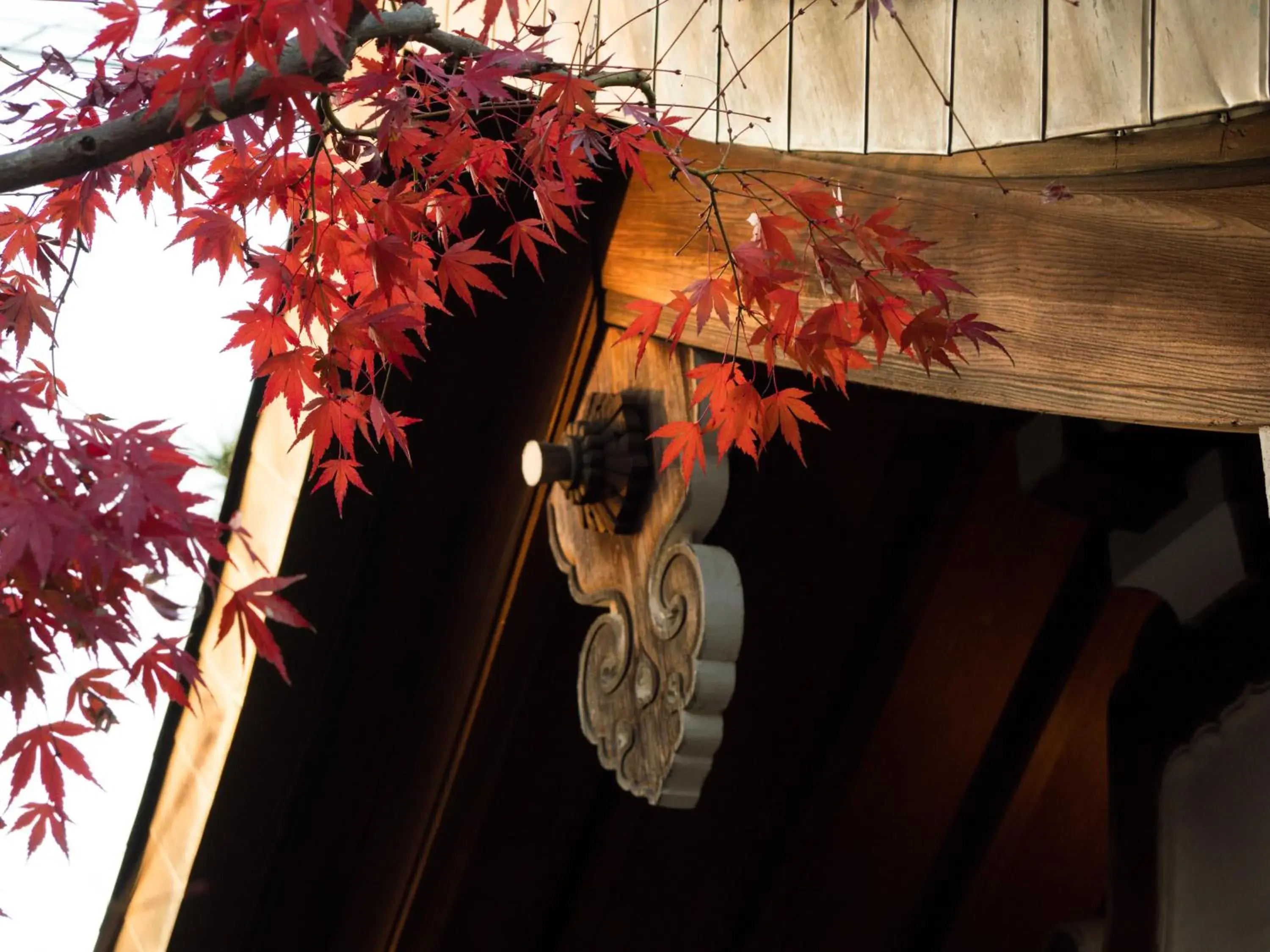 Facade/entrance in Ryokan Genhouin