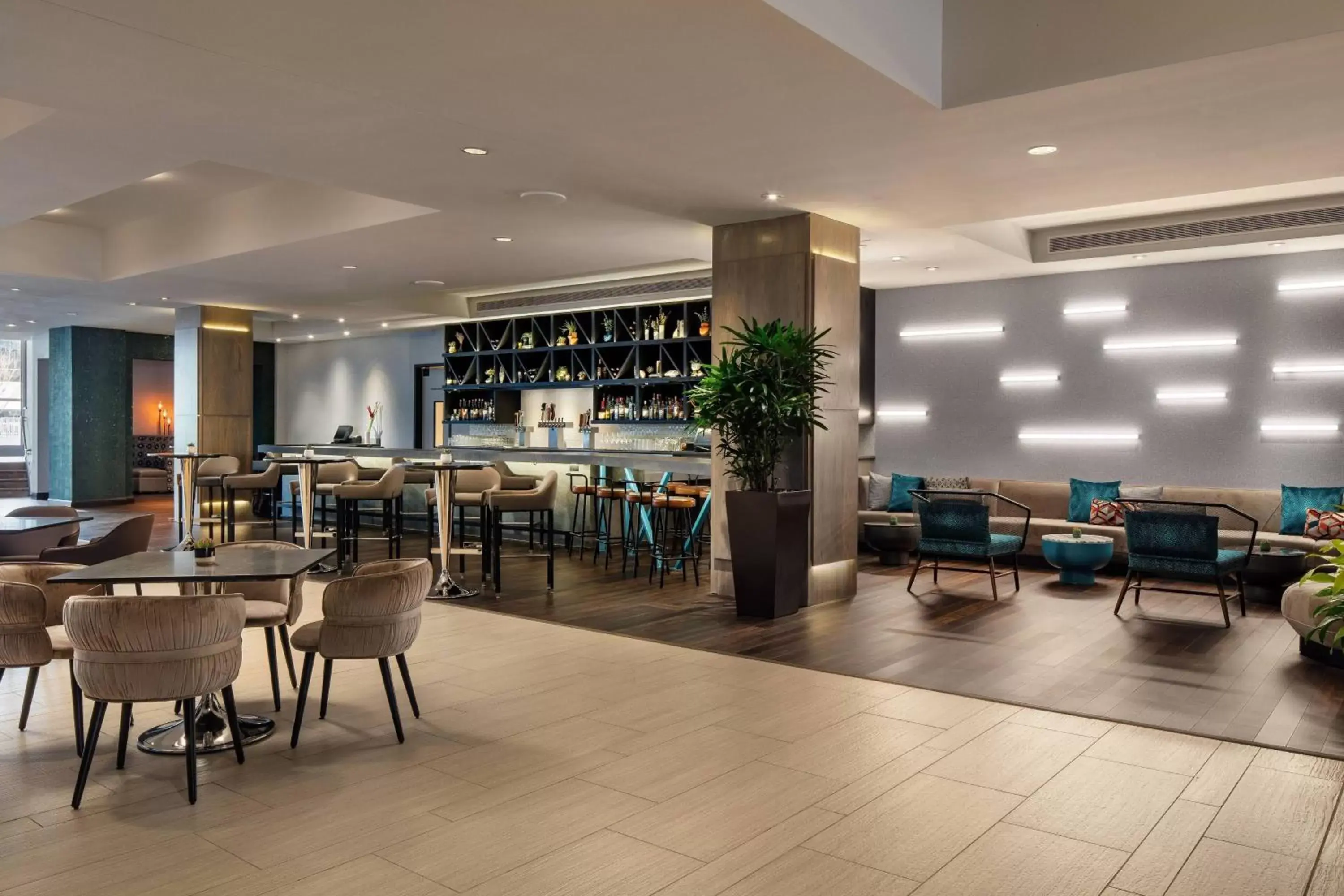 Restaurant/places to eat, Lounge/Bar in San Jose Marriott