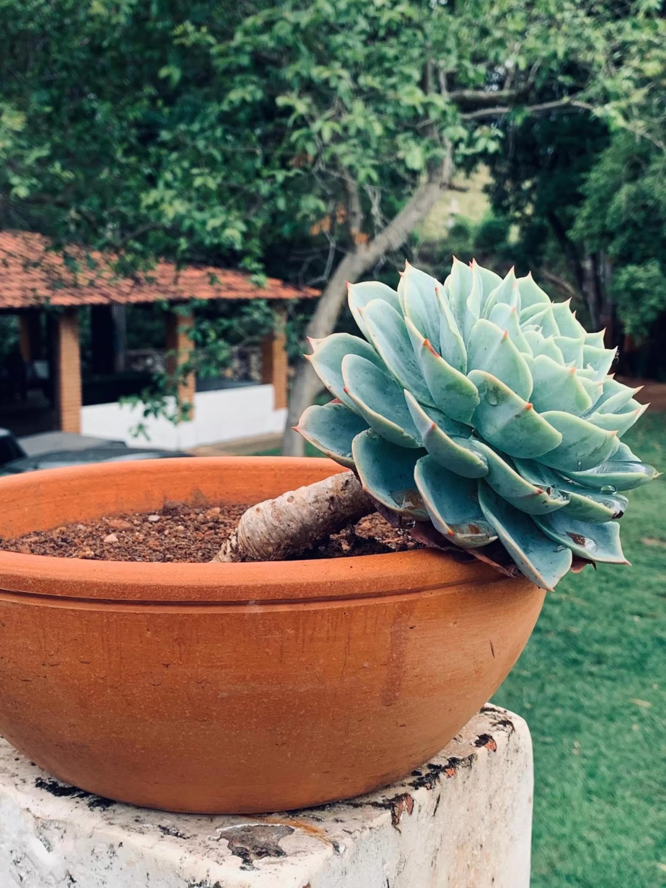 Pousada Cantinho do Mundo