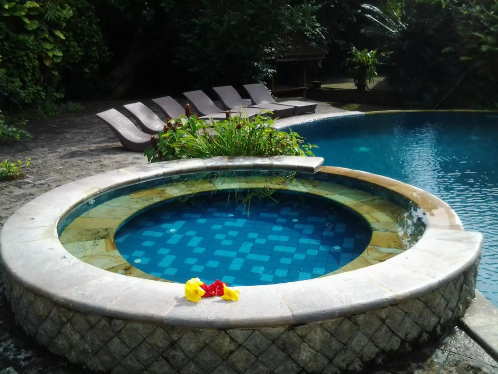 Swimming Pool in Nirwana Sea Side Cottages