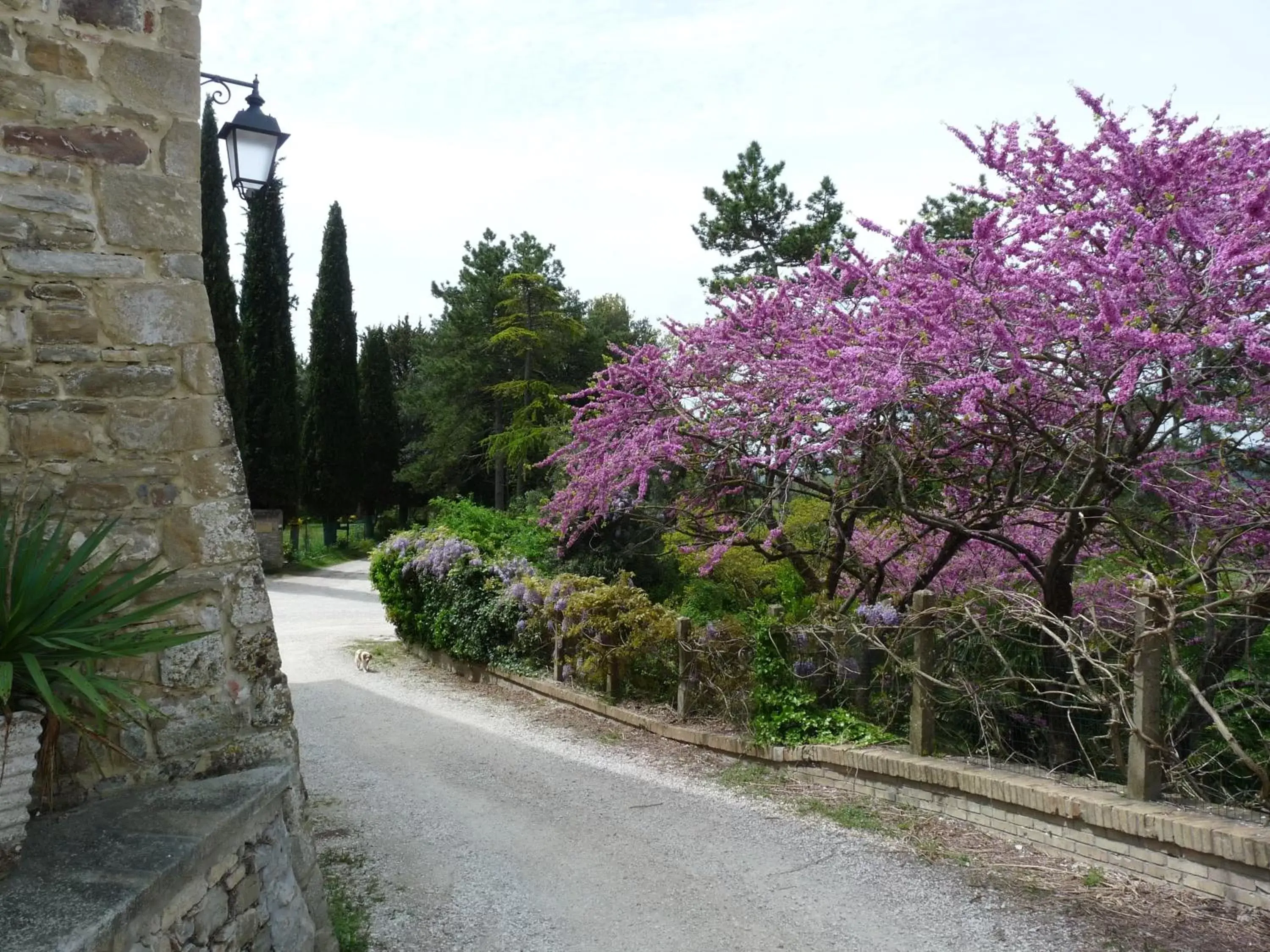 Street view, Neighborhood in Castello Di Giomici