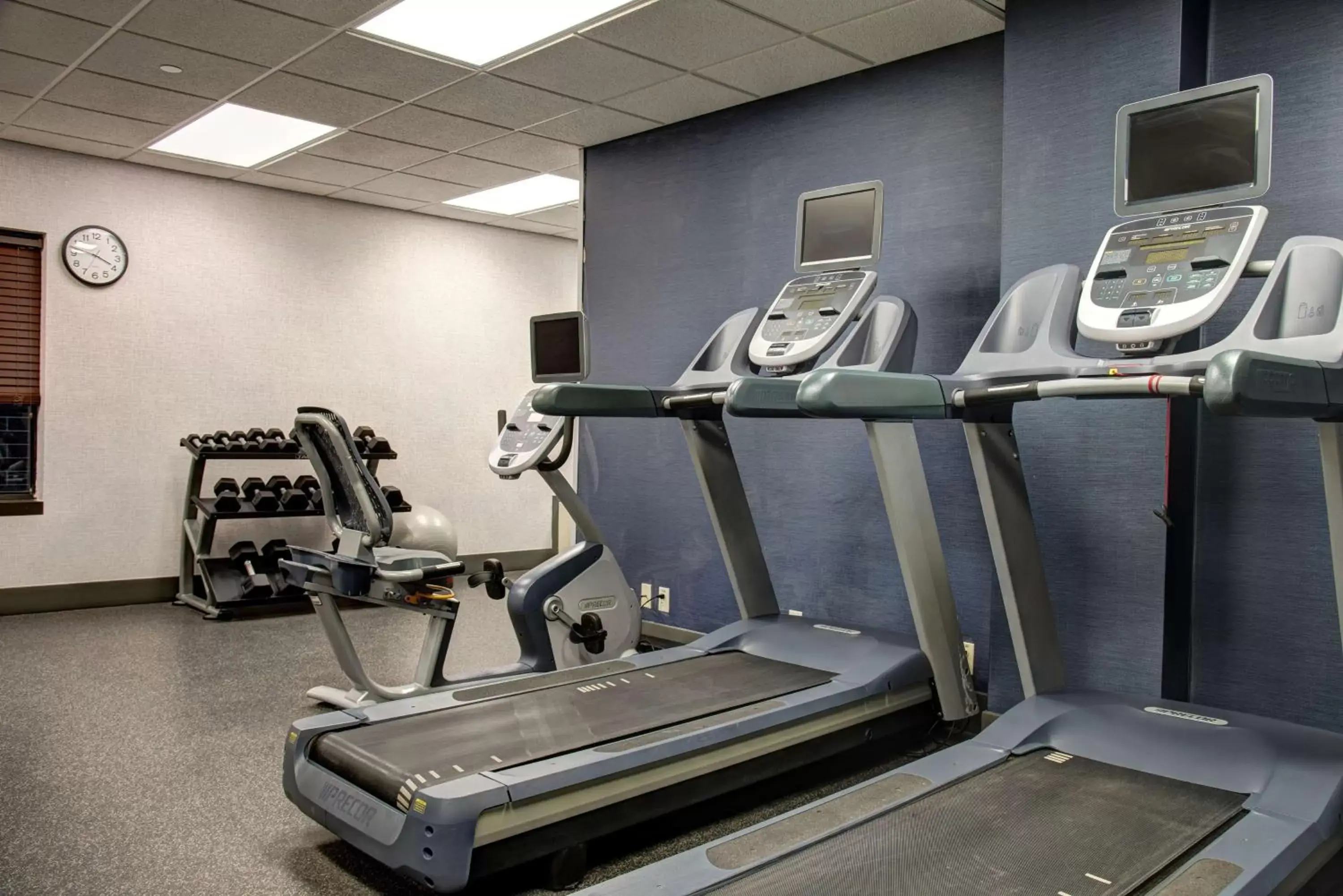 Fitness centre/facilities, Fitness Center/Facilities in Hampton Inn Rochester