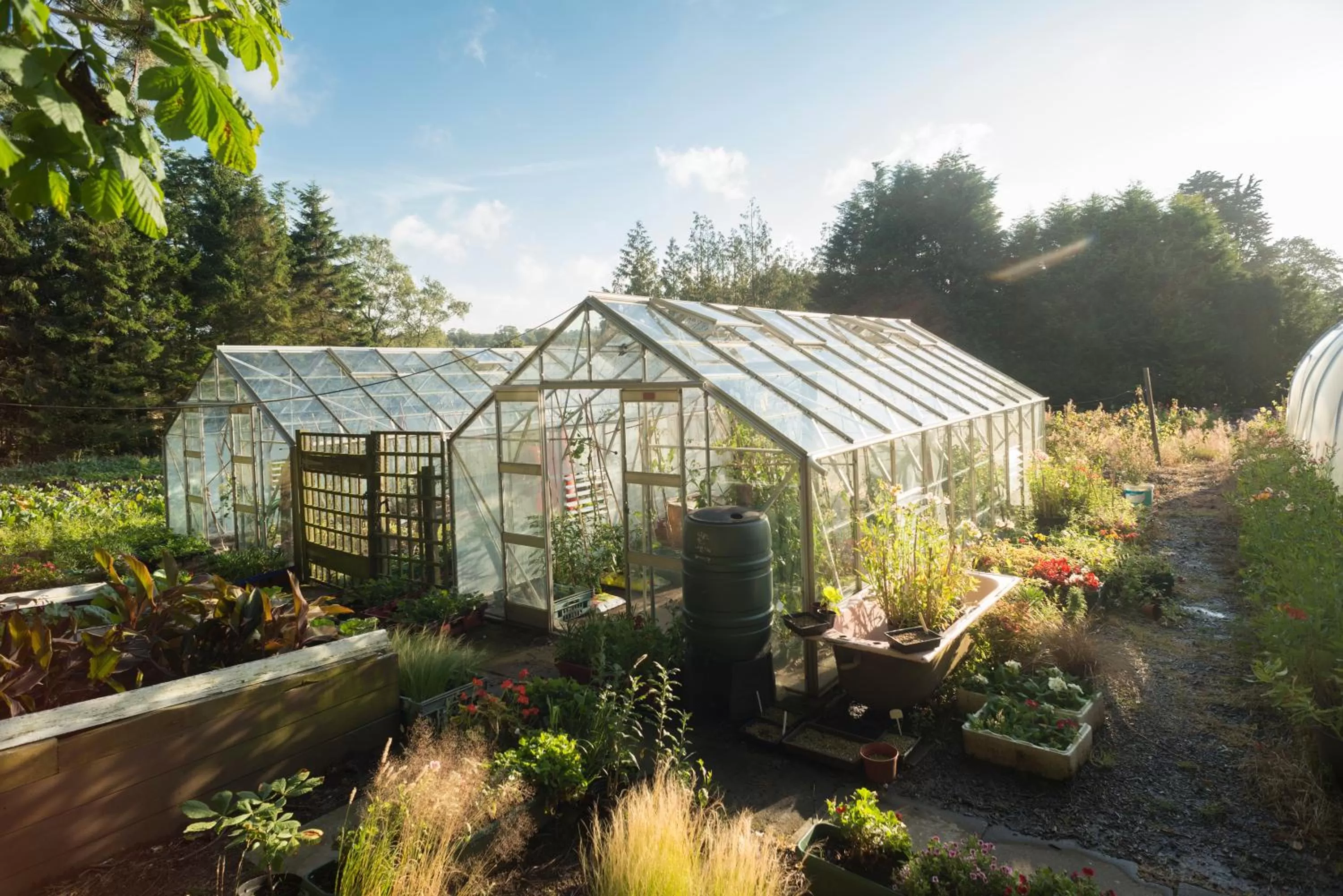 Garden in Rufflets St Andrews
