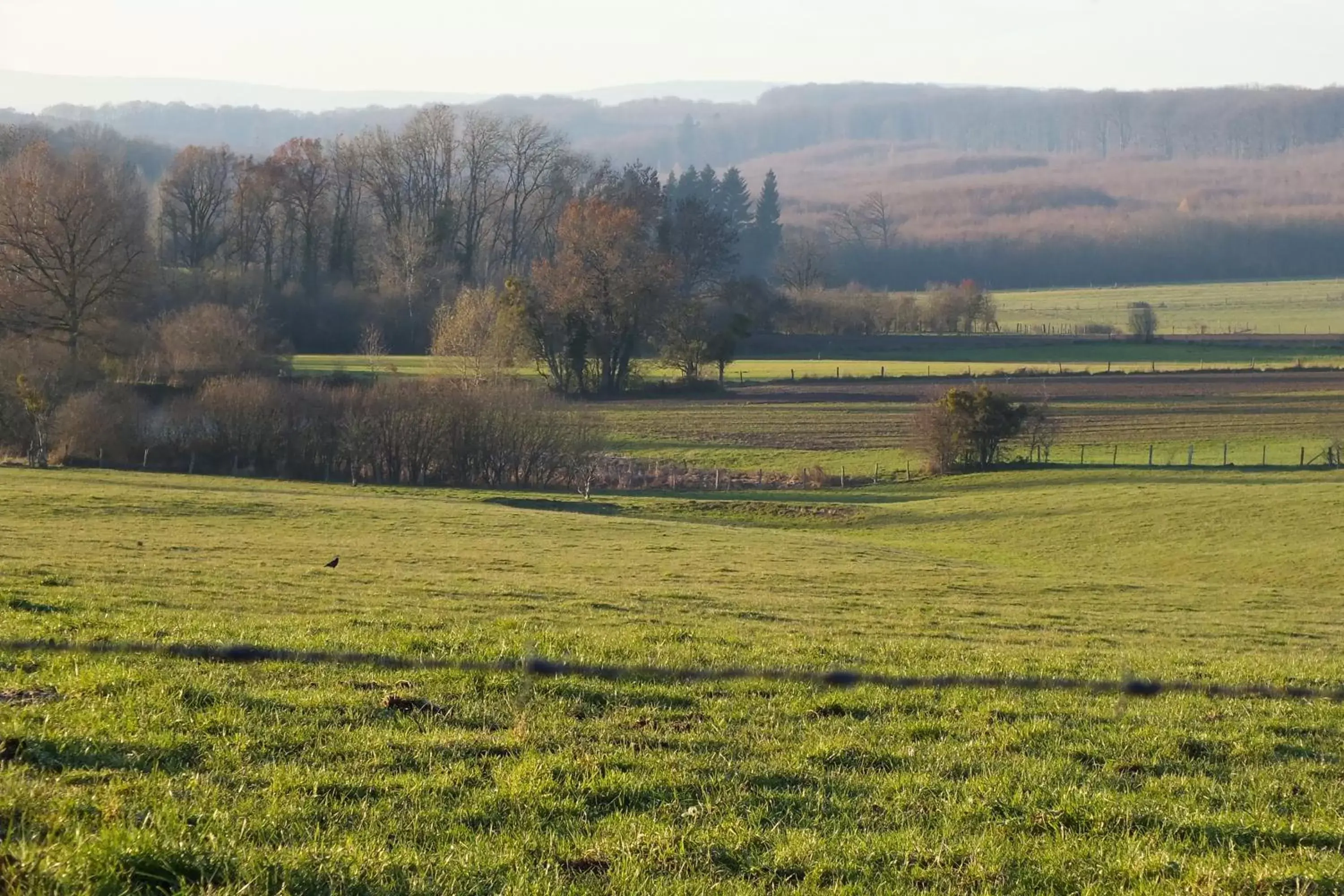 Natural Landscape in Chambres d'hôtes La Charmante