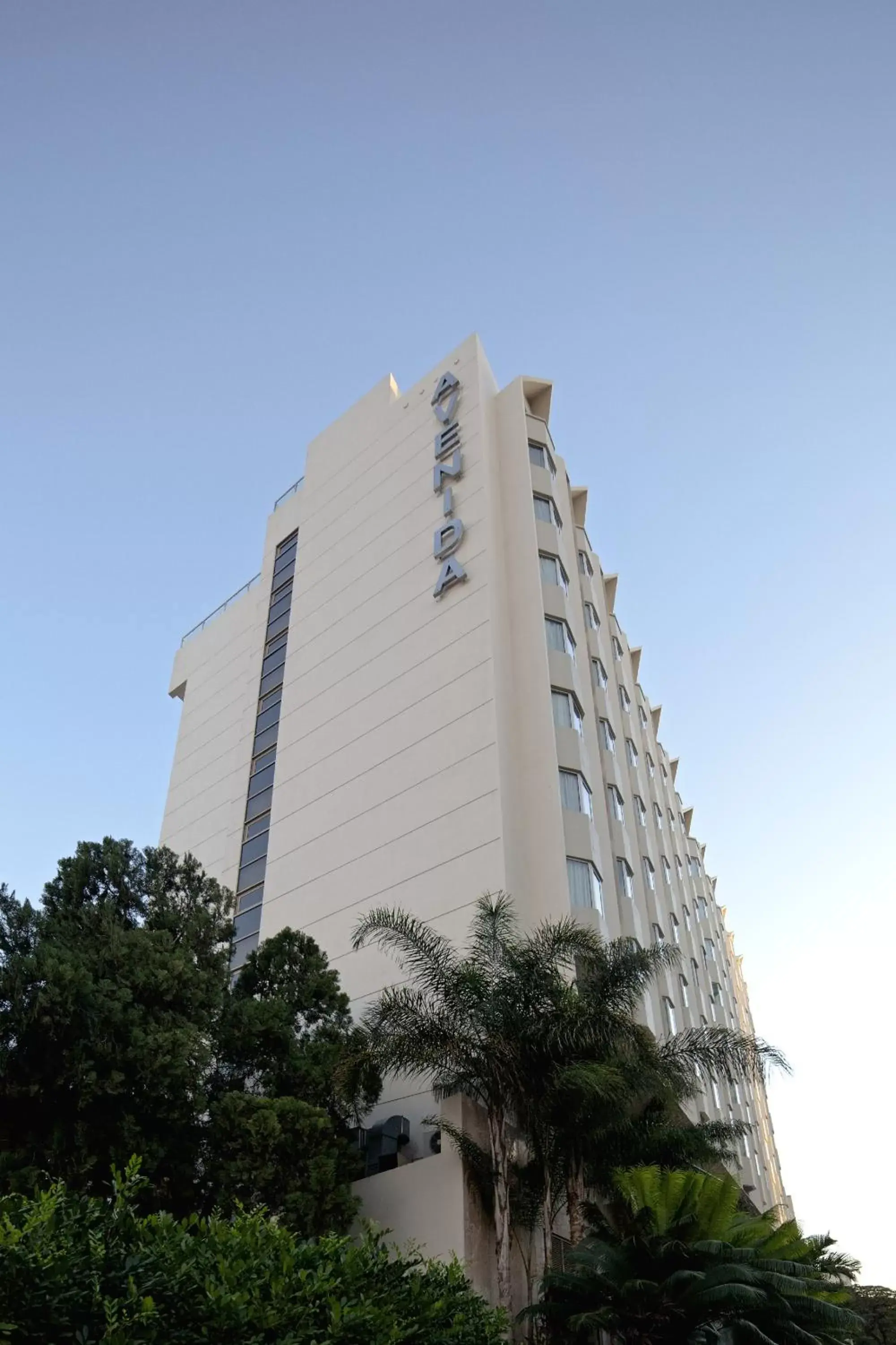 Property Building in Hotel Avenida