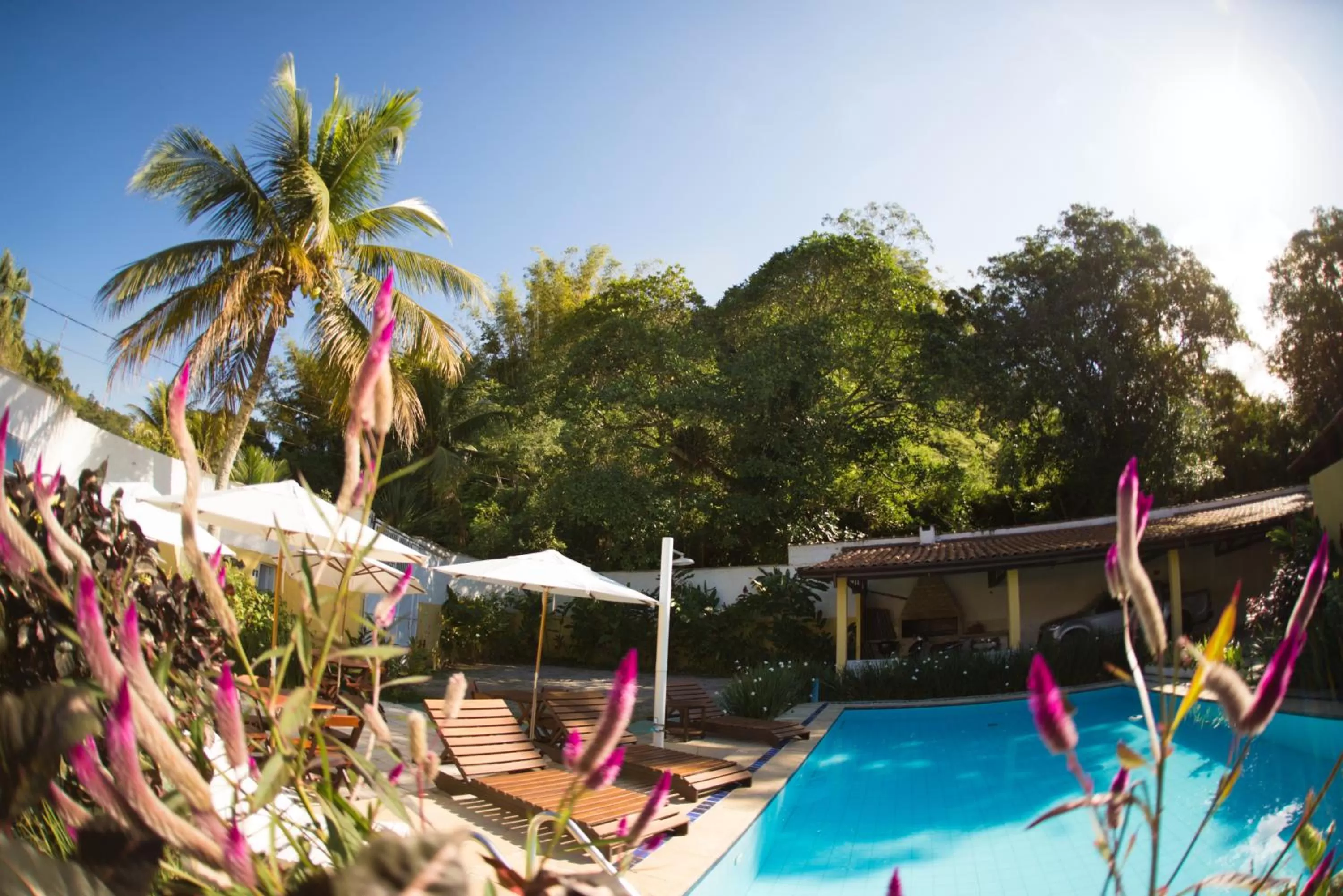 Garden in Pousada Viva Ubatuba