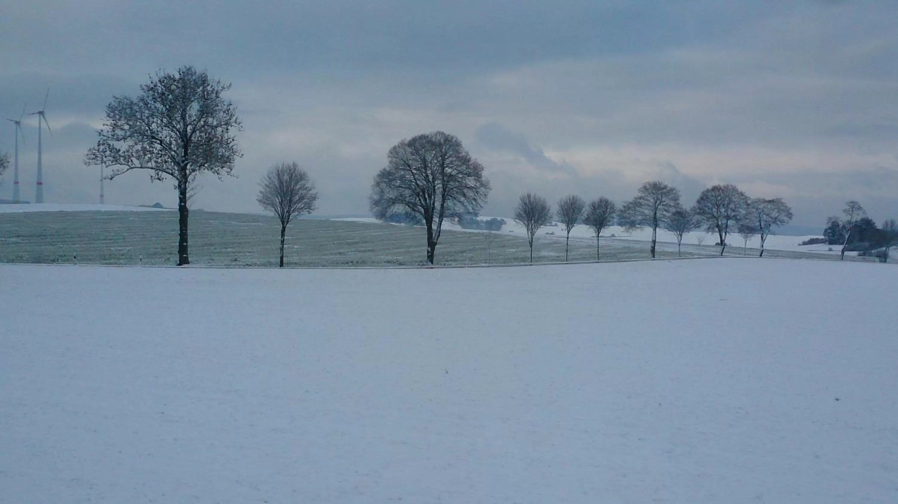Natural landscape in Waldecker Taverne