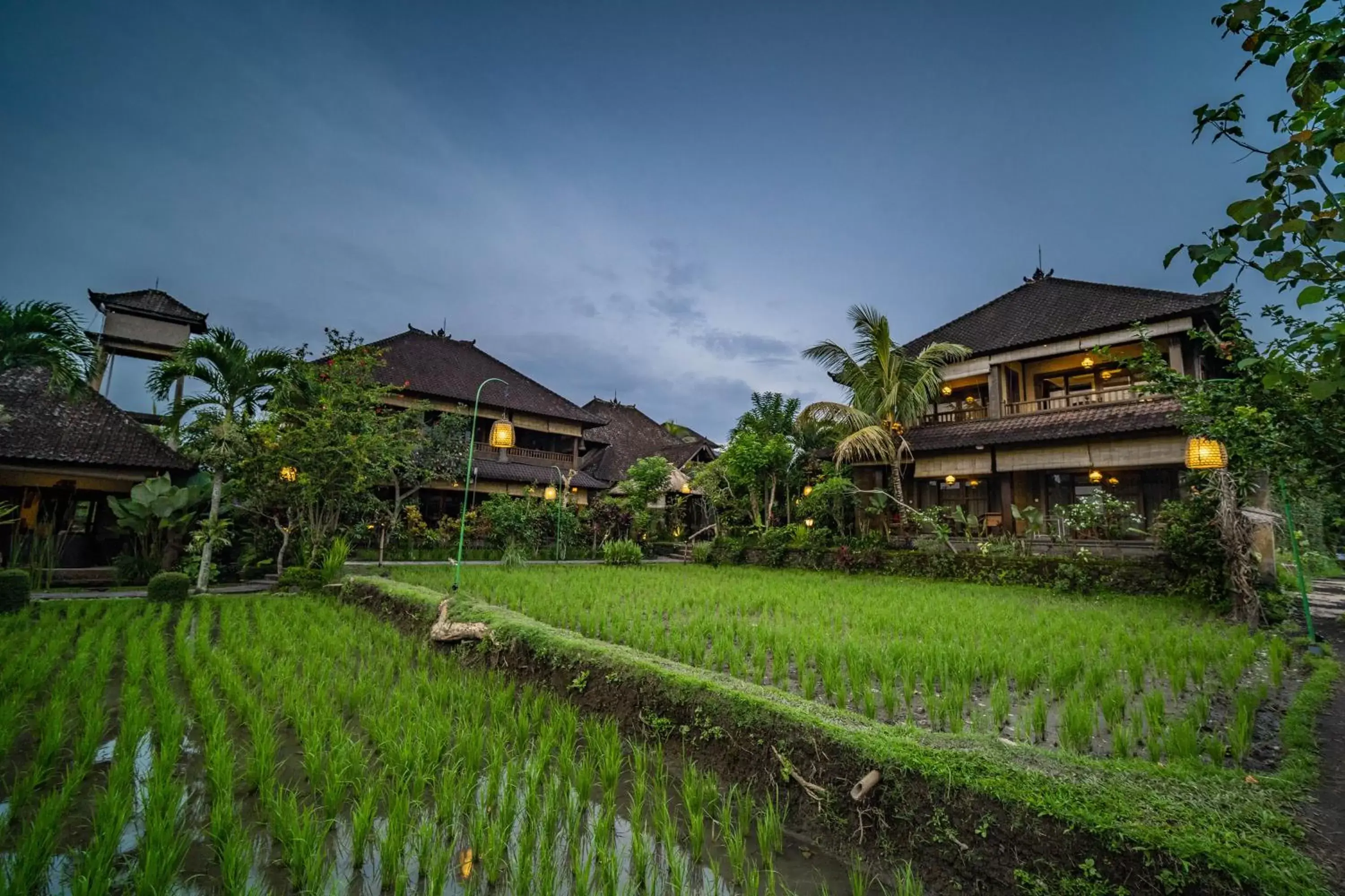 Landmark view, Property Building in Bliss Ubud Spa Resort