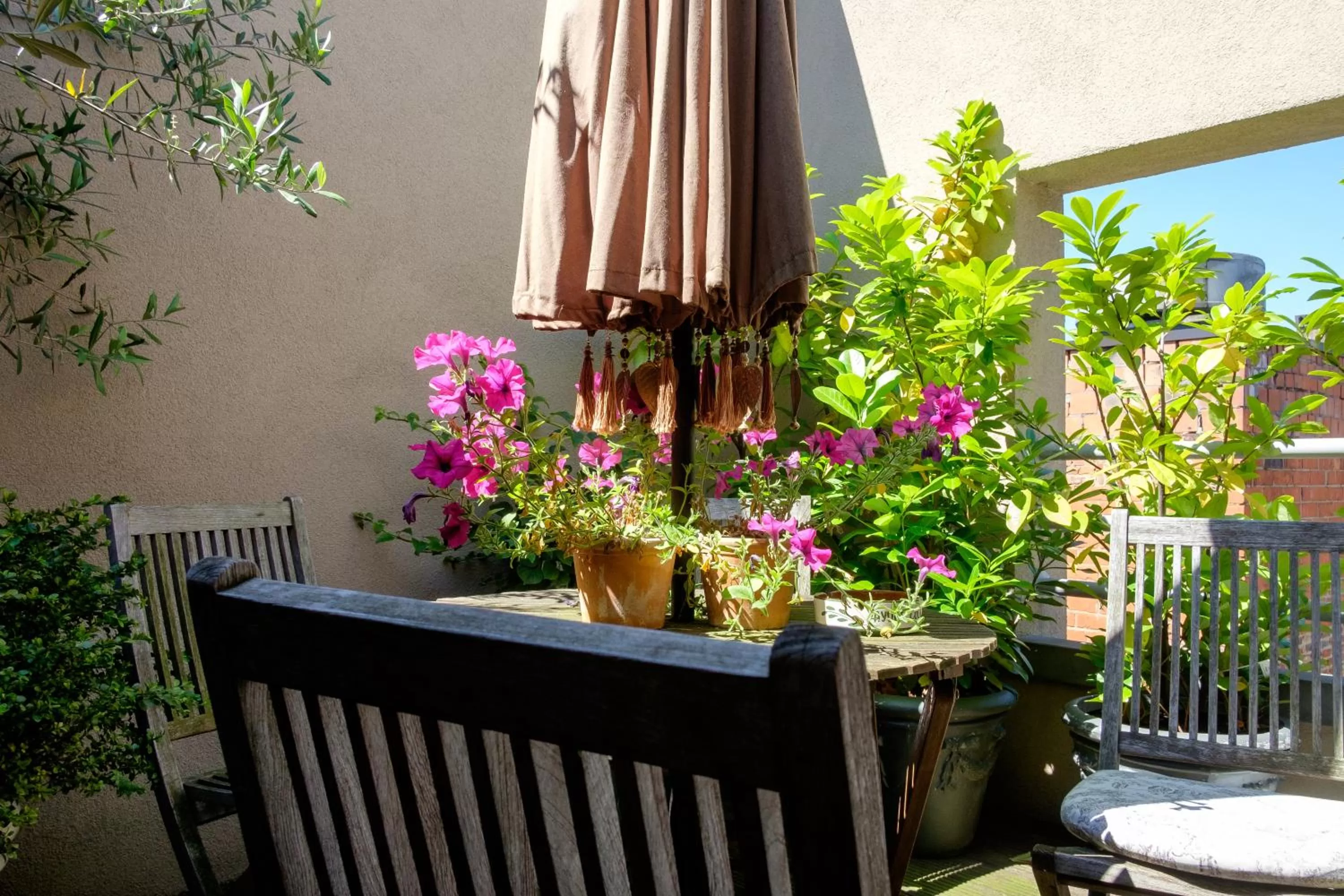 Patio in Hotel Diamonds and Pearls