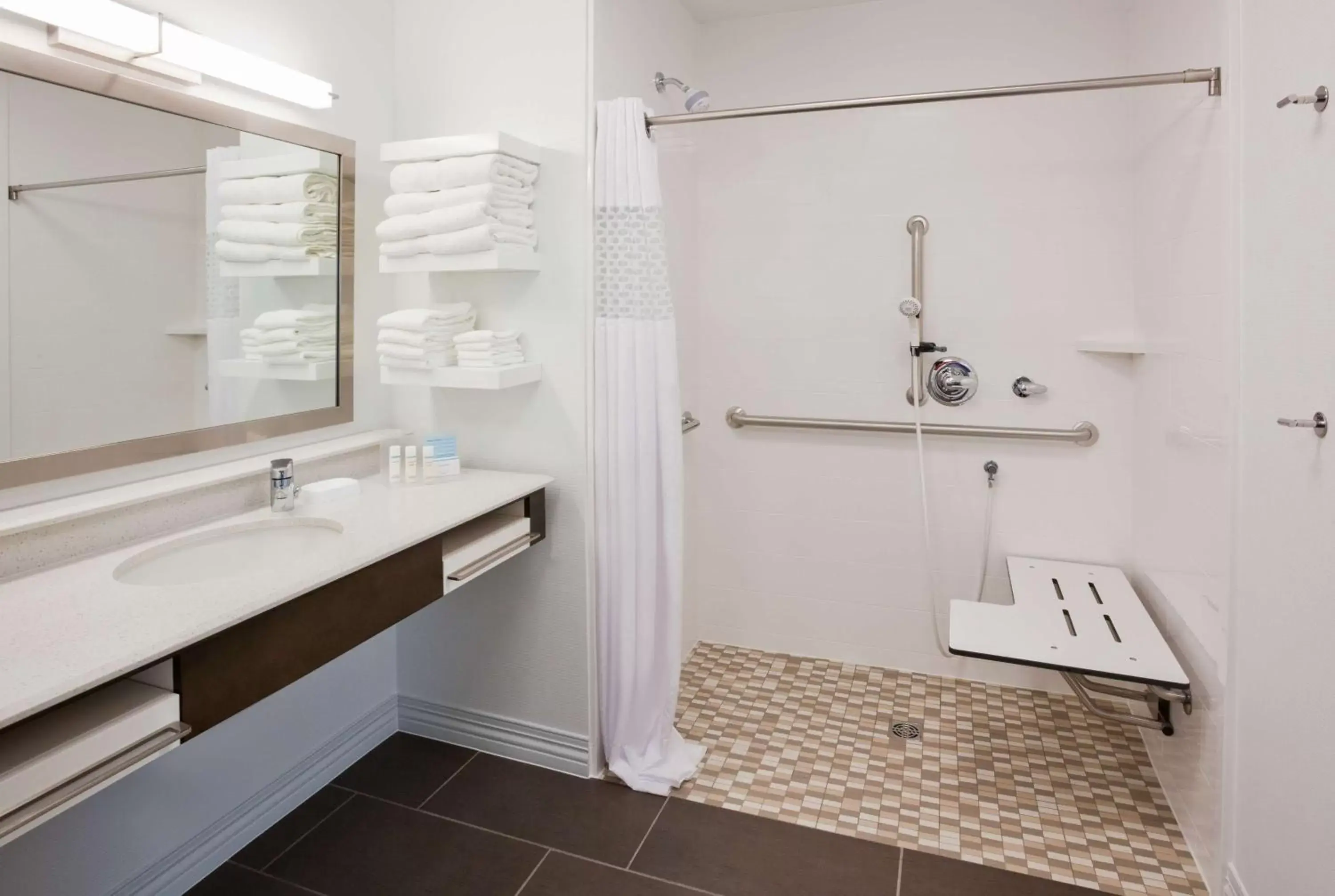 Bathroom in Hampton Inn & Suites Sioux City South, IA