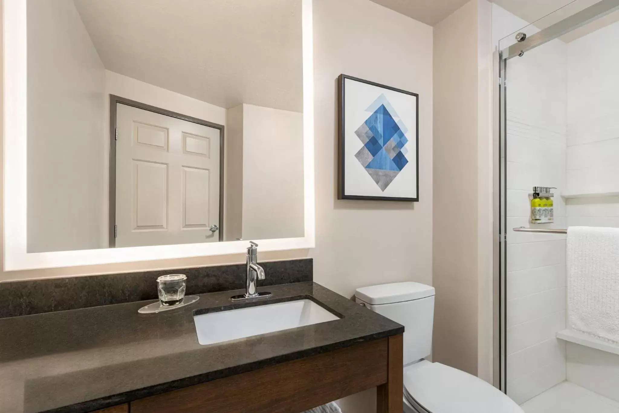 Bathroom in Candlewood Suites Boise-Meridian, an IHG Hotel