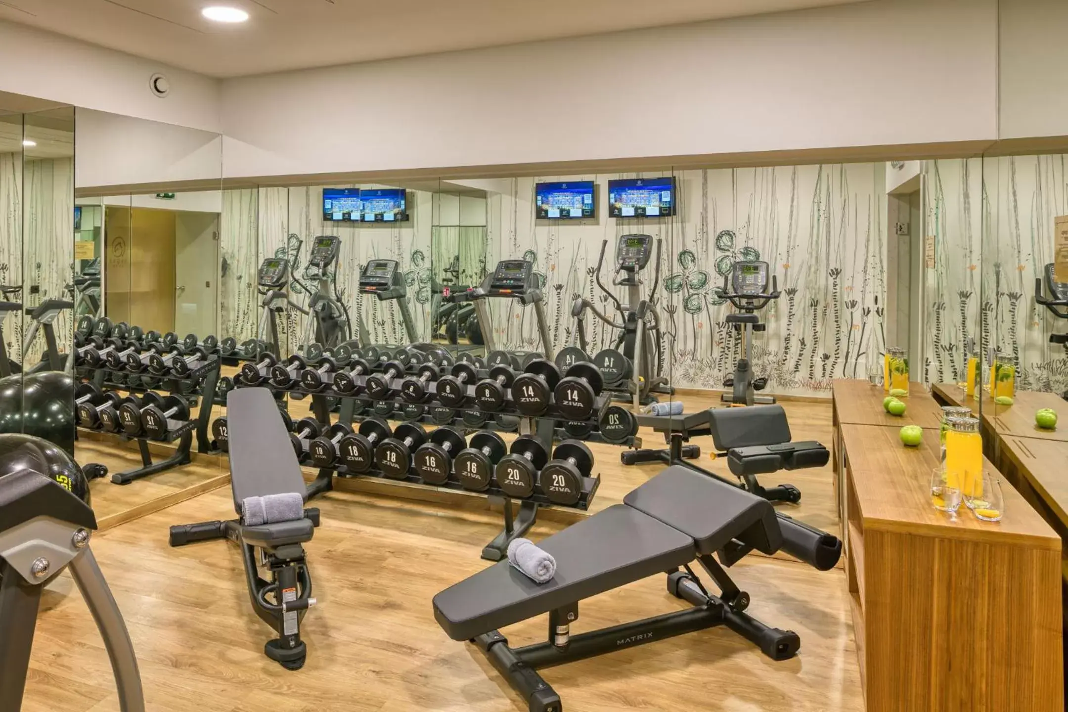 Fitness centre/facilities, Fitness Center/Facilities in Electra Palace Thessaloniki