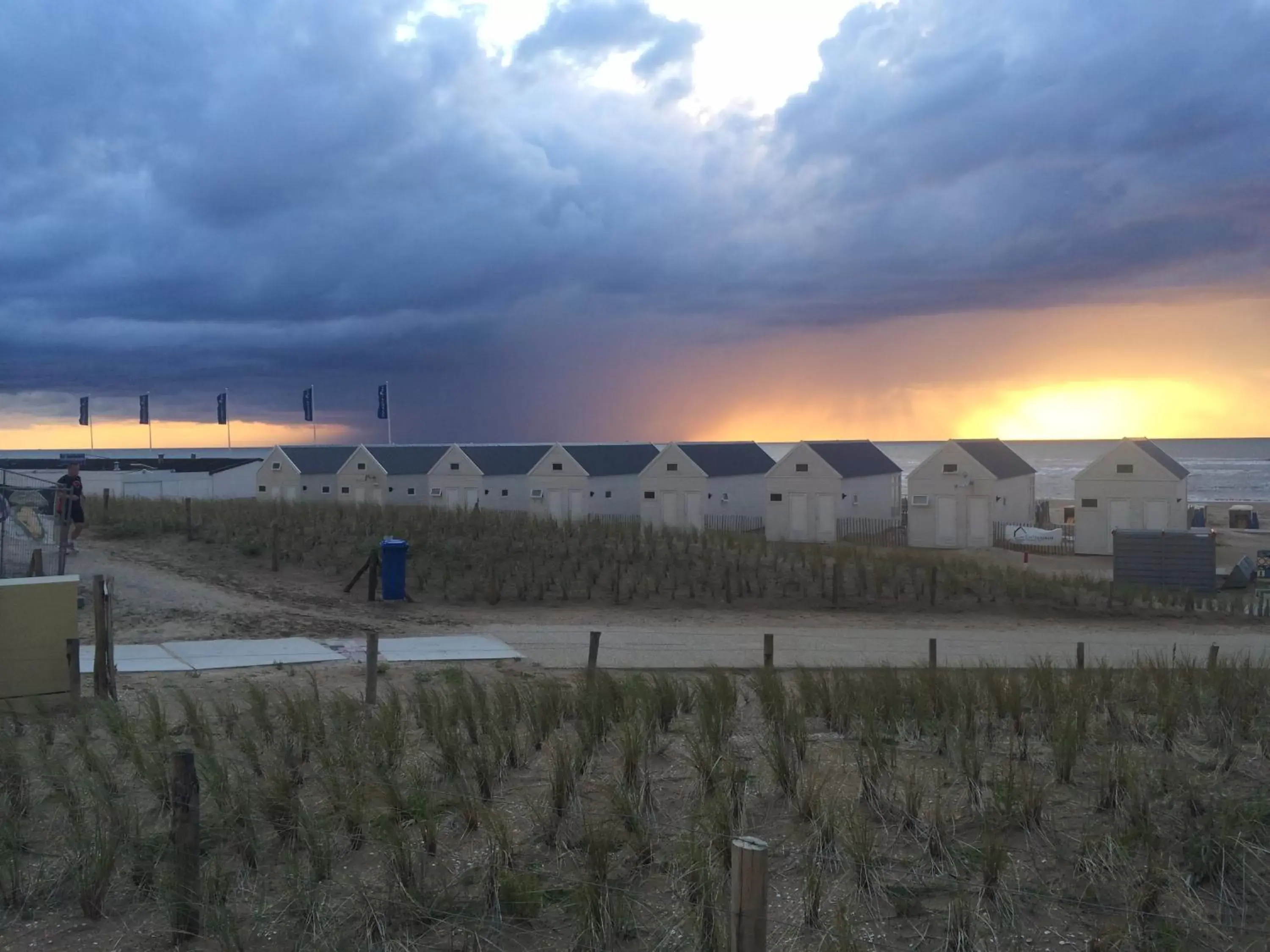 Natural landscape in Beach Hotel Katwijk