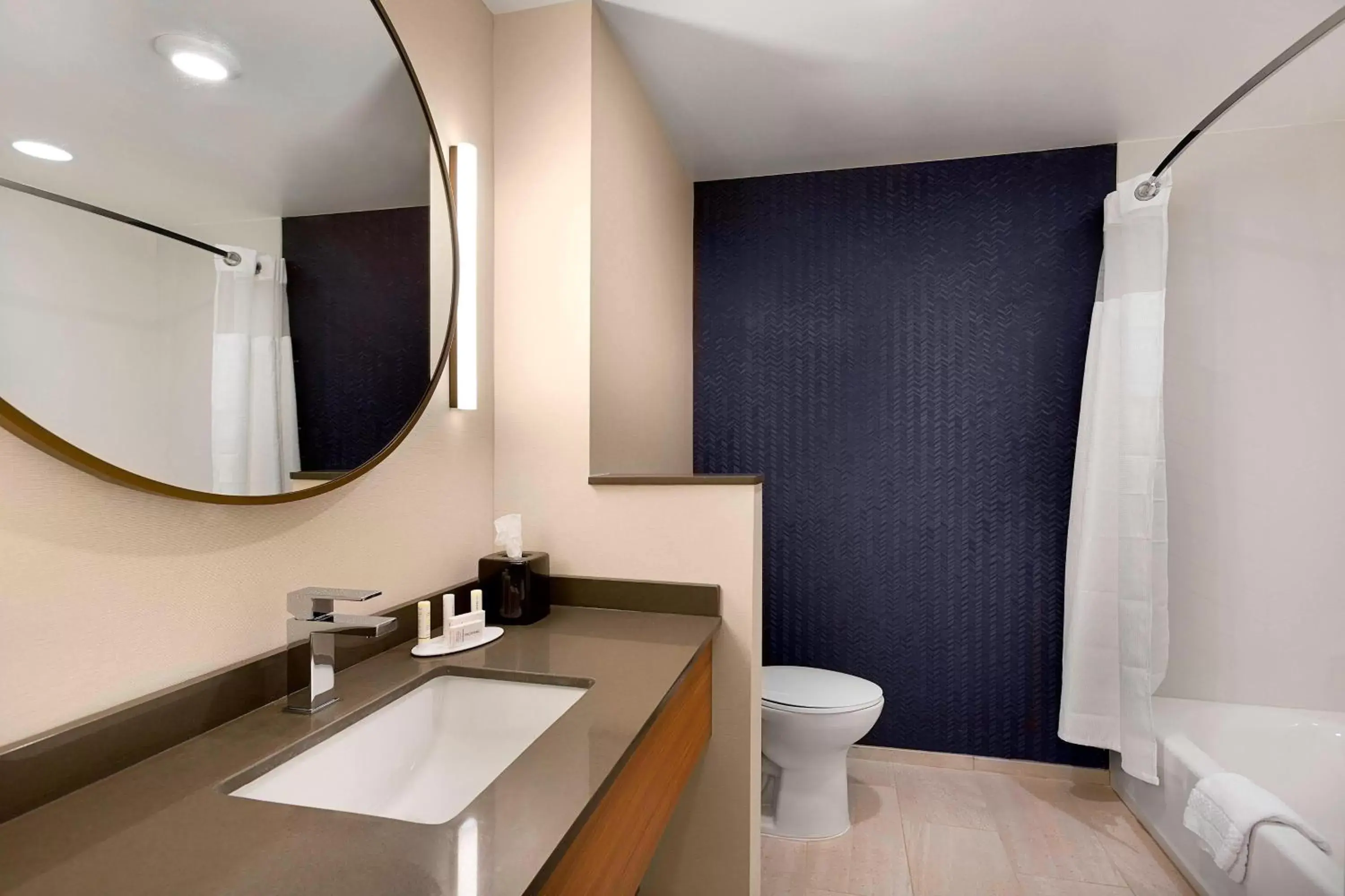 Bathroom in Fairfield Inn & Suites by Marriott Shelby