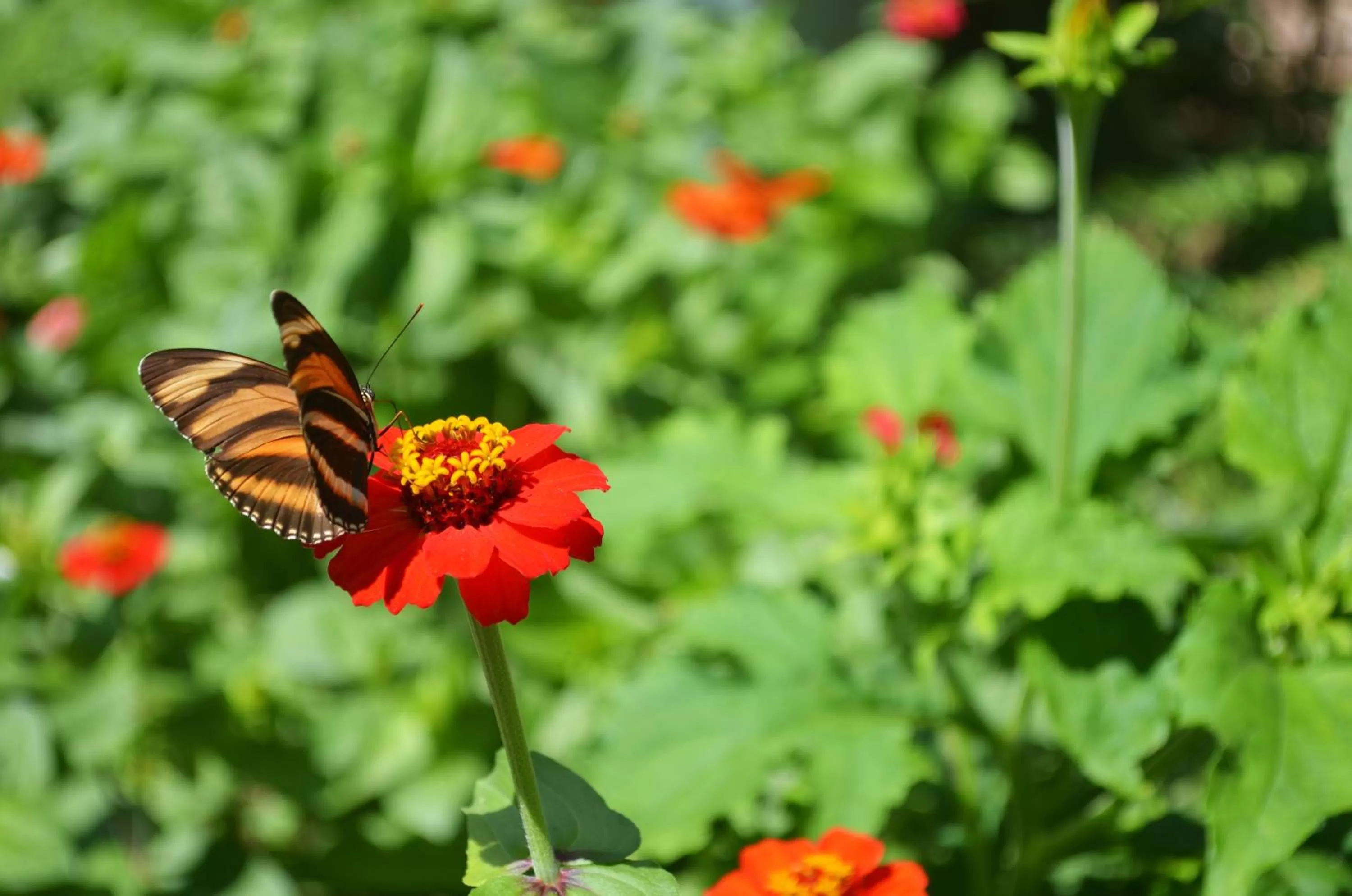 Facade/entrance in Eco Lodge La Juanita