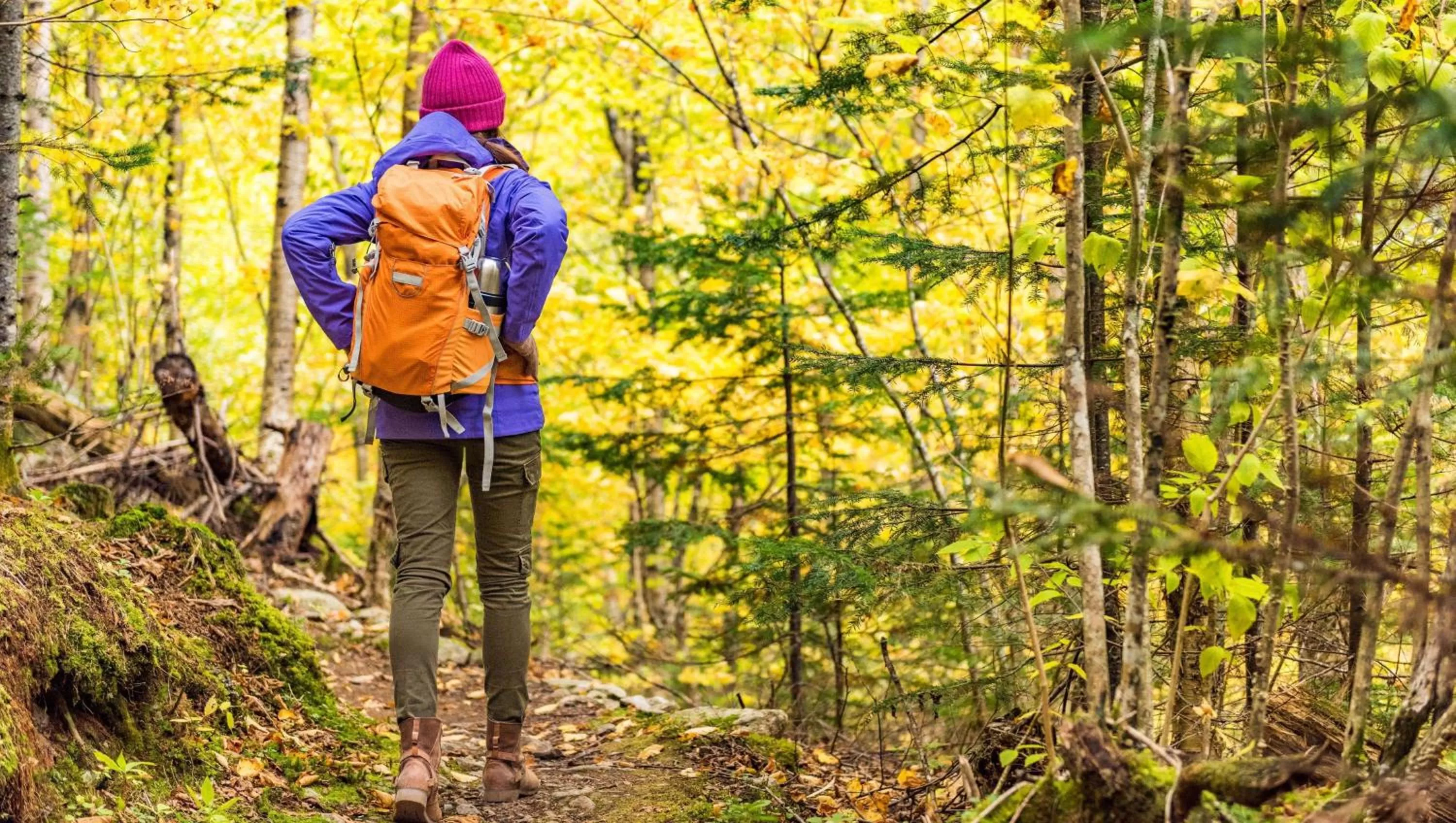 Nearby landmark in Studios and Suites 4 Less Emporia